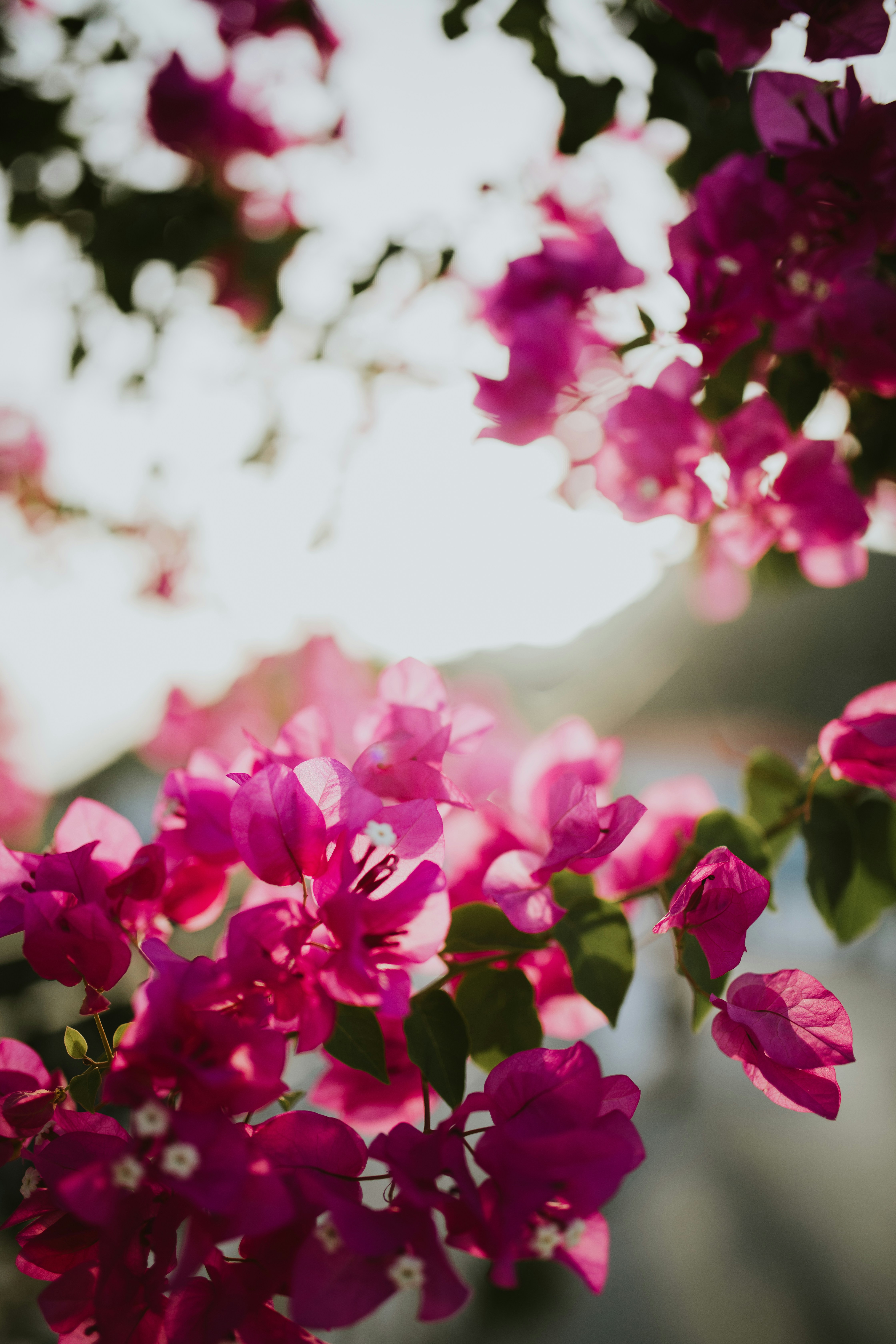 Photo by adinapatrana