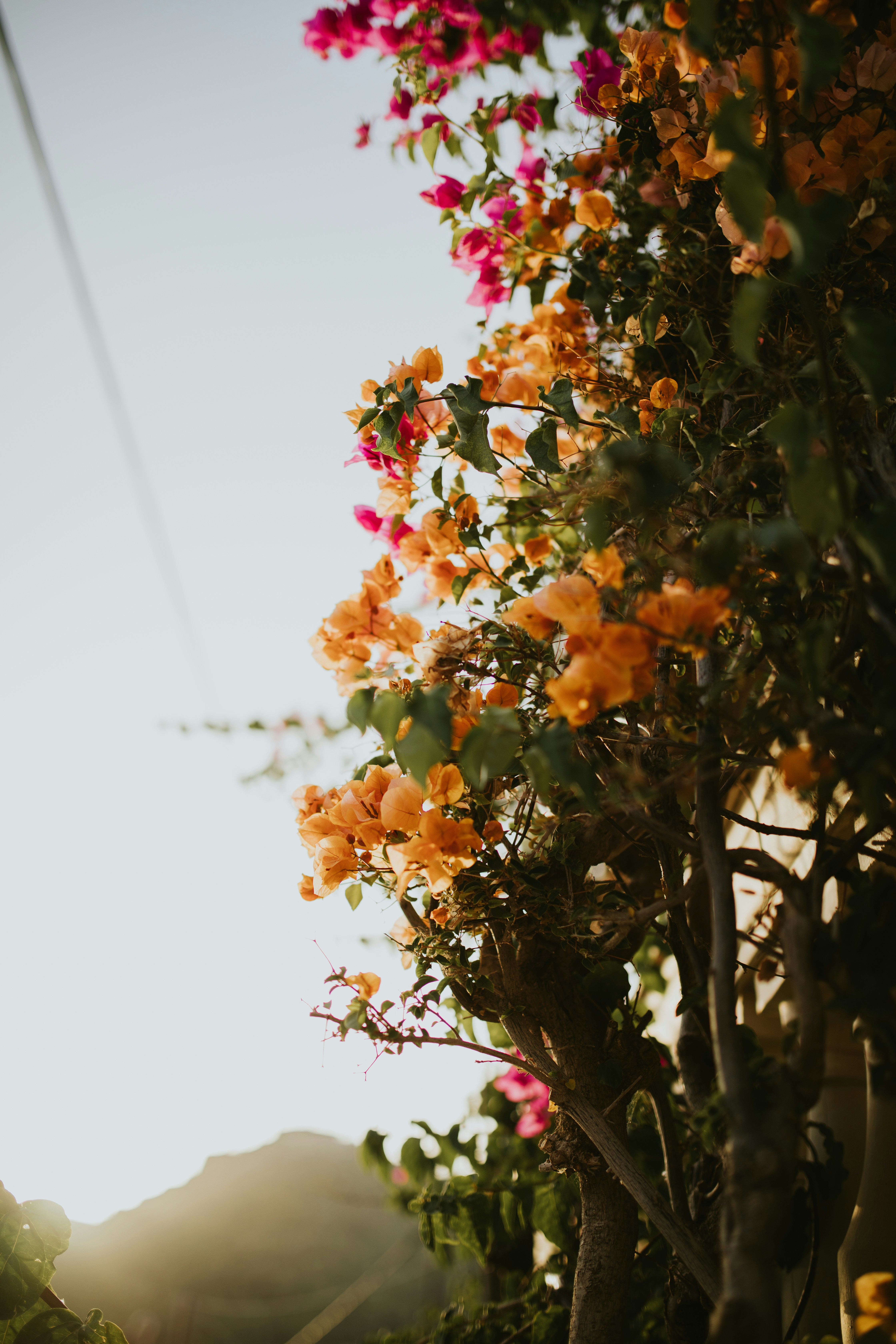 Photo by adinapatrana