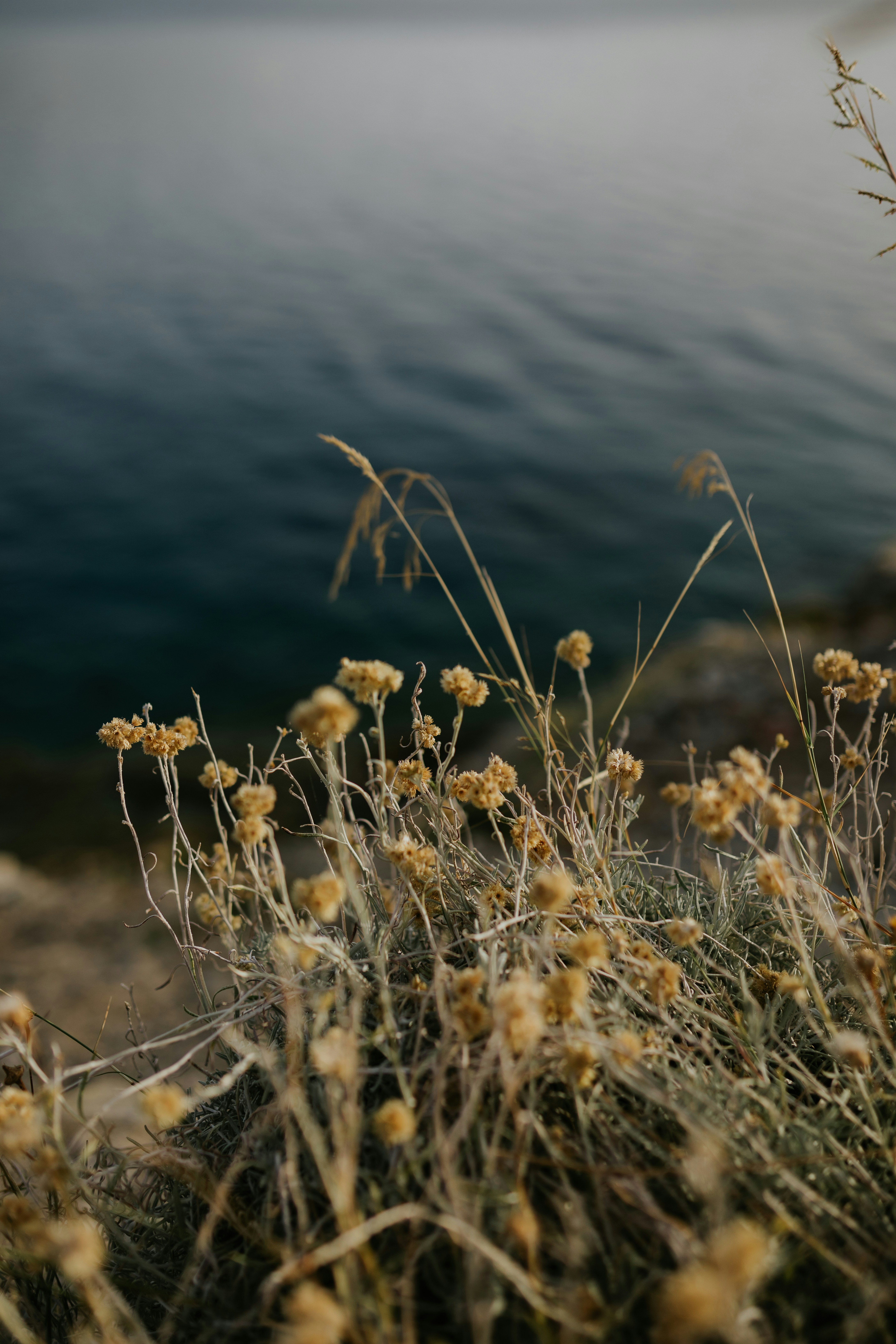 Photo by adinapatrana