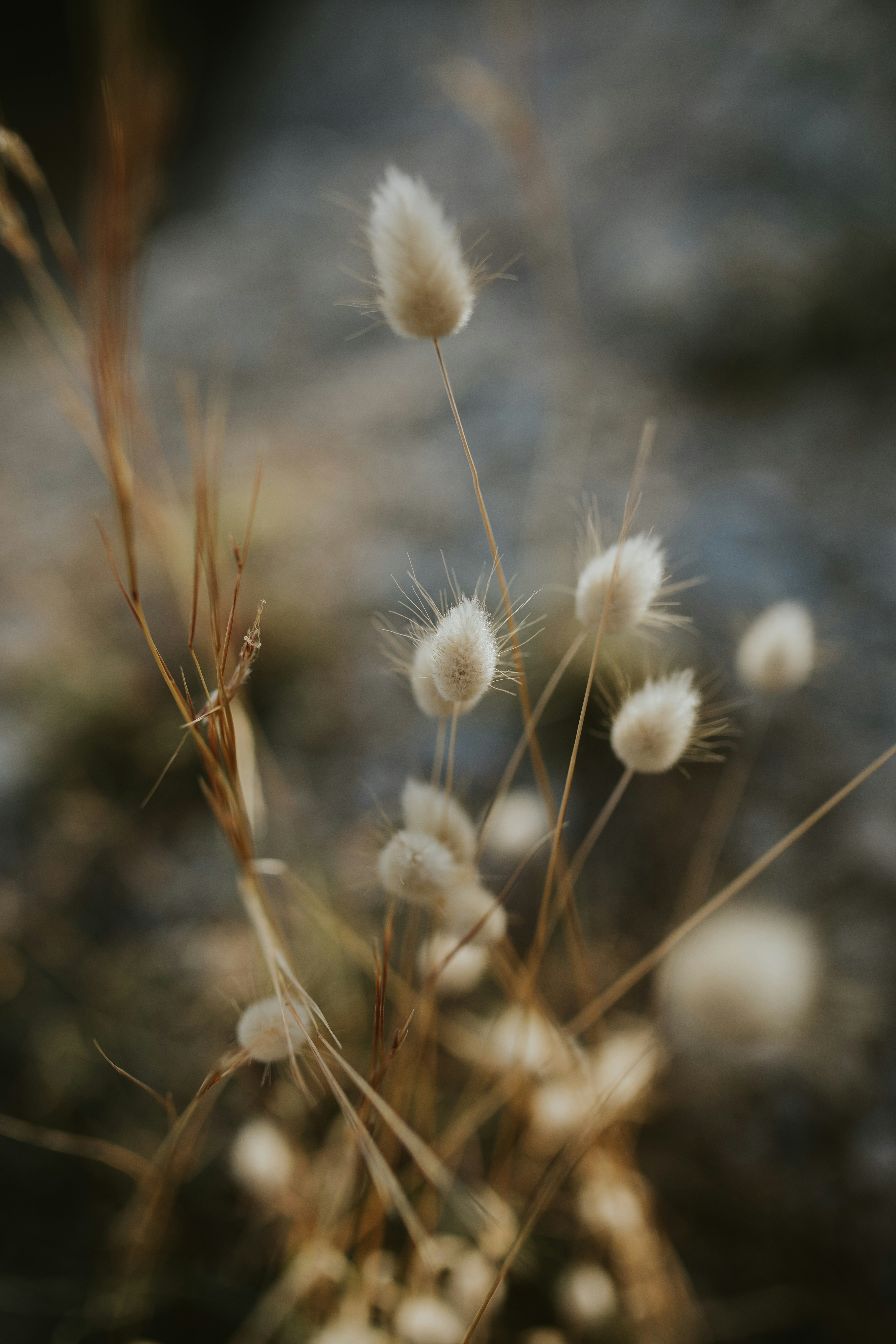 Photo by adinapatrana