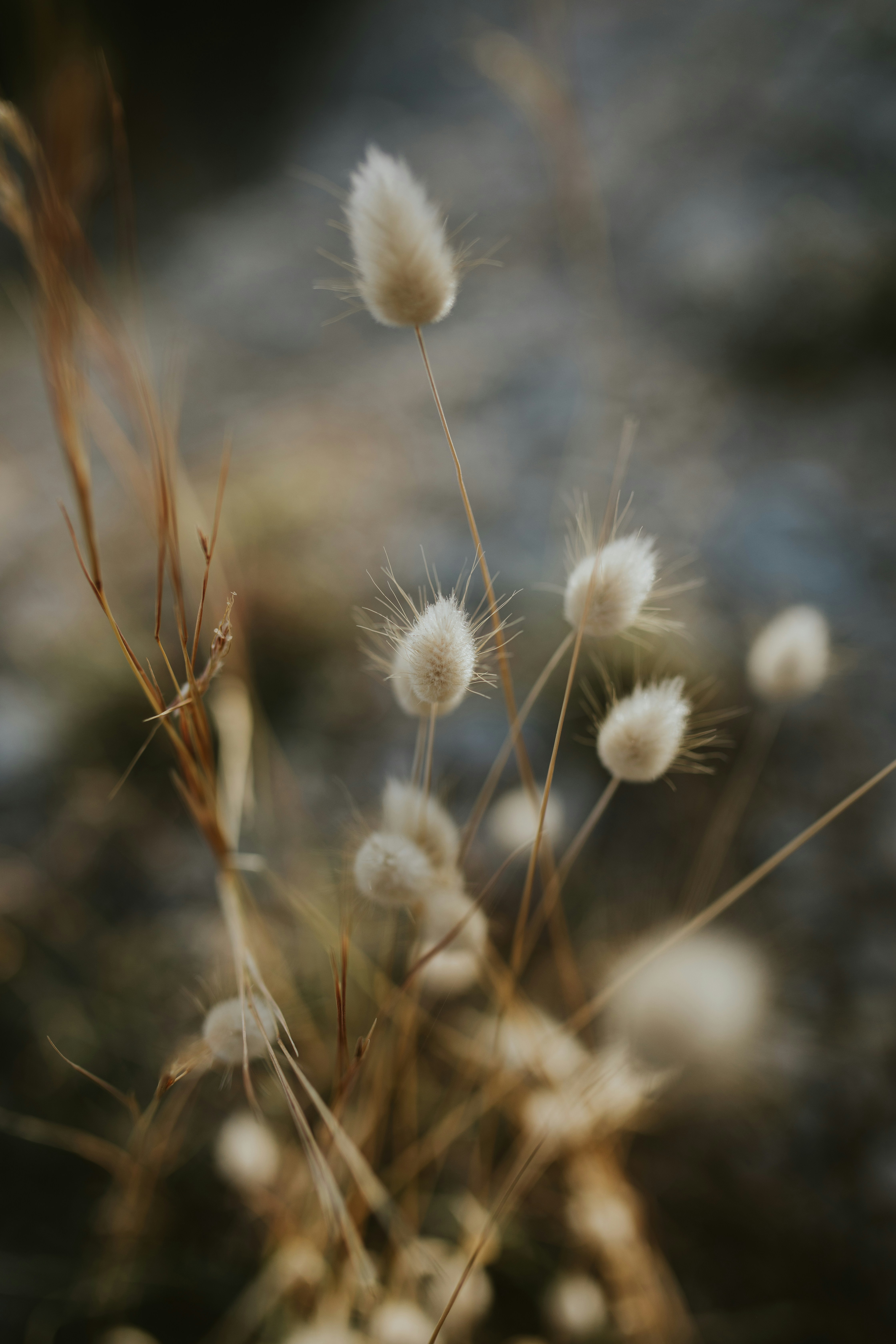 Photo by adinapatrana