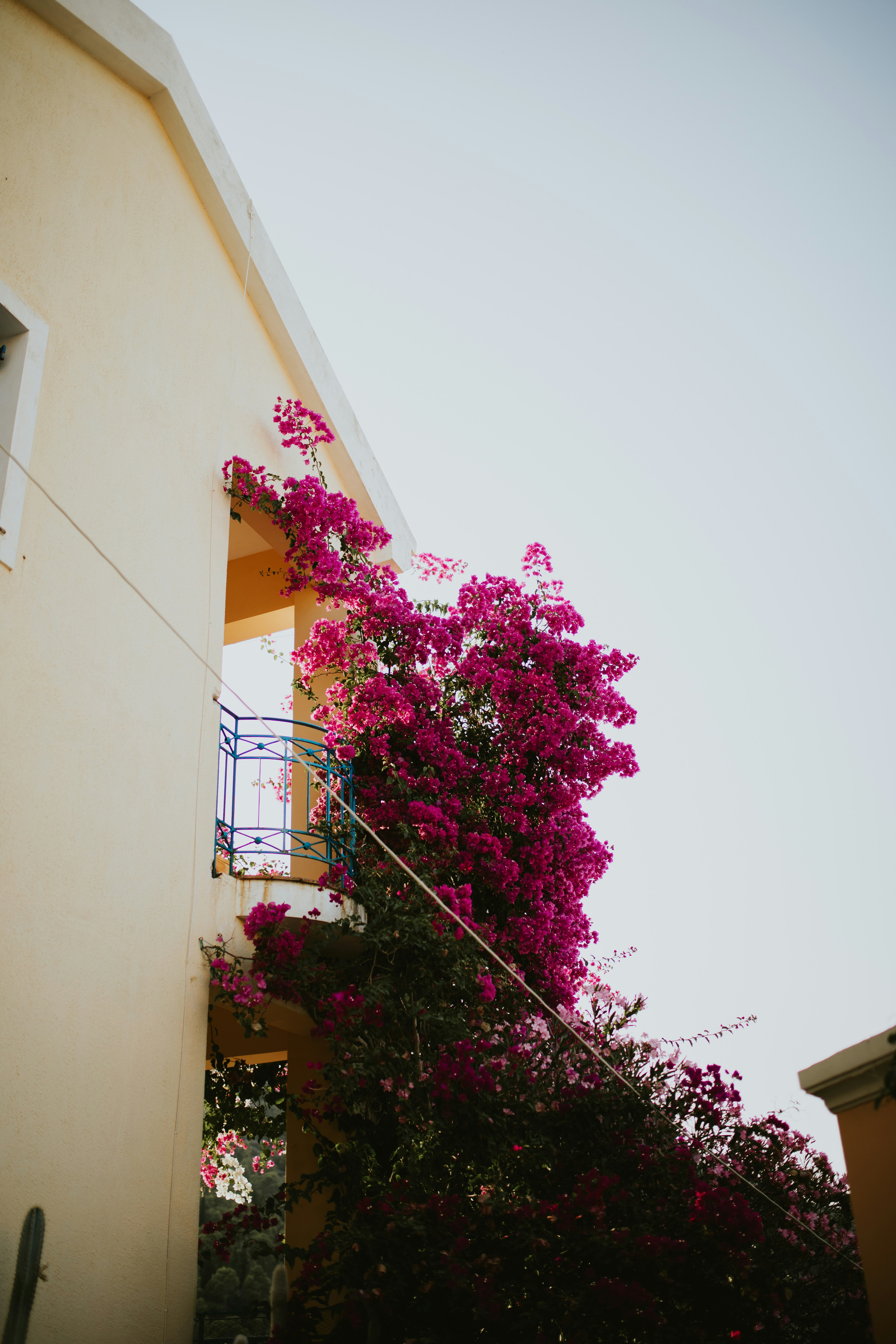 Photo by adinapatrana