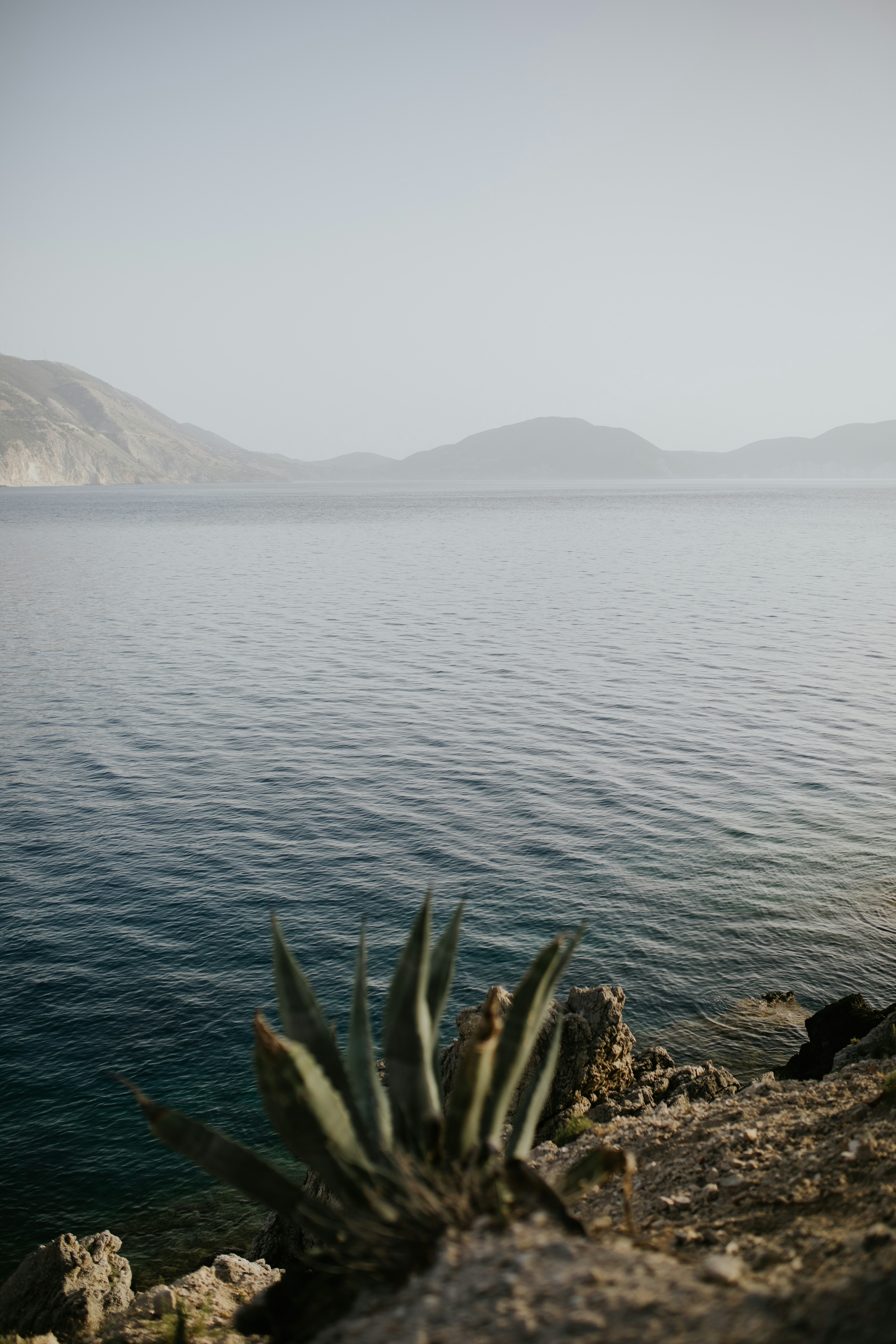 Photo by adinapatrana