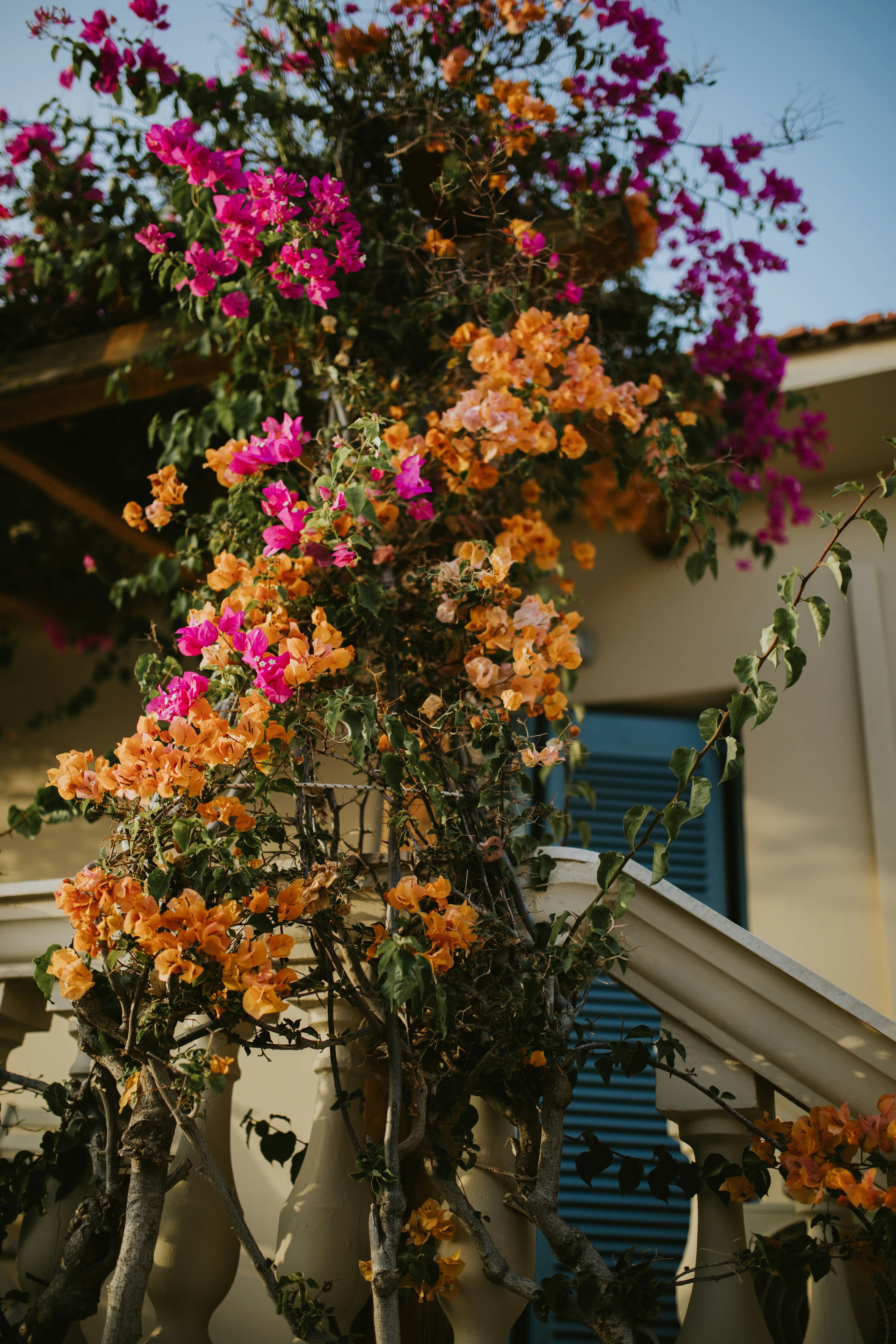 Photo by adinapatrana