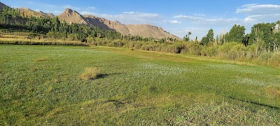 A vast open field of green grass stretches out under a bright blue sky with scattered clouds. In the background, rugged mountains with rocky peaks rise above a line of dense trees. The landscape is peaceful and natural, with an open, untouched feel.