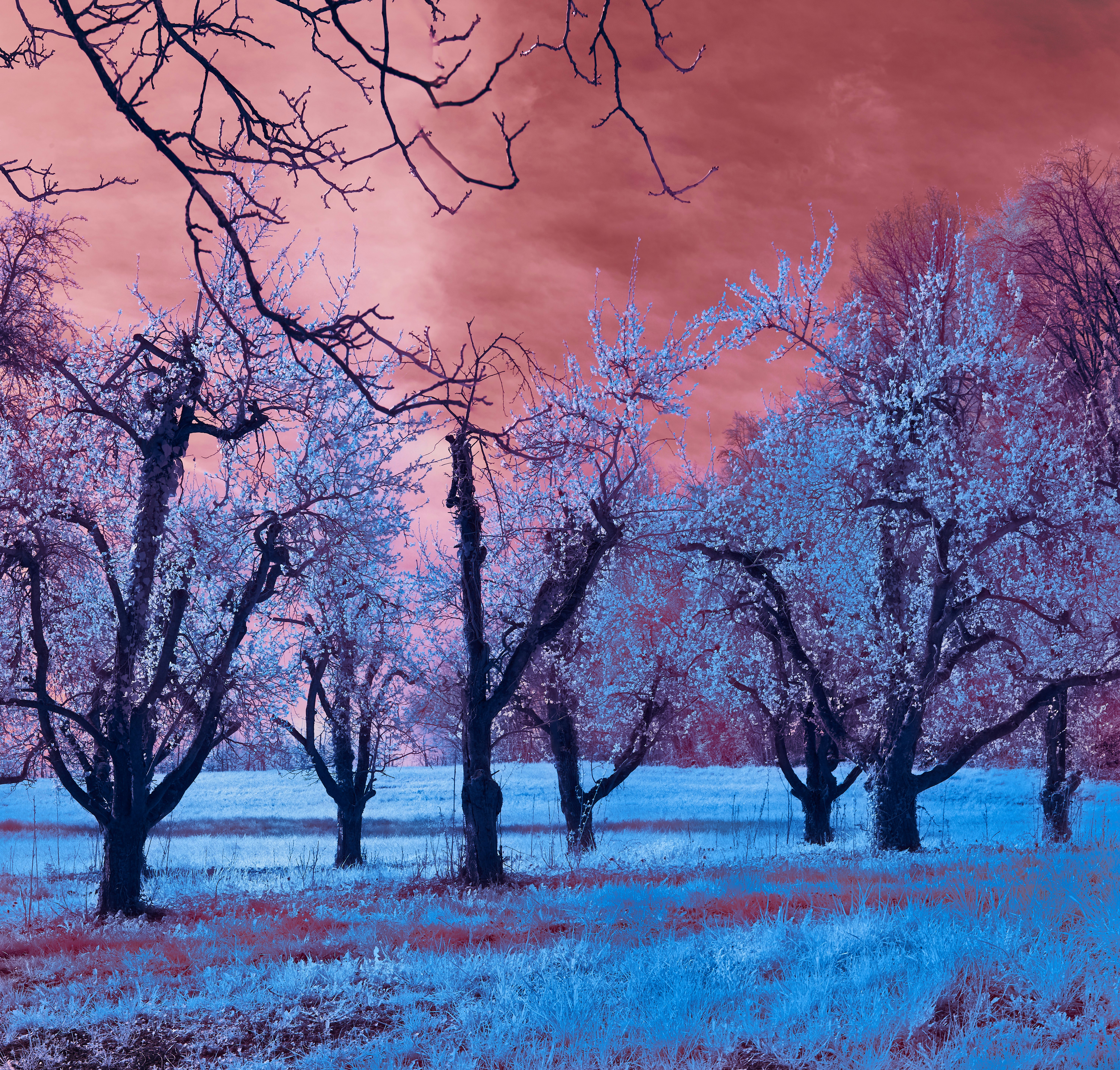 Photo by wolfgang_hasselmann