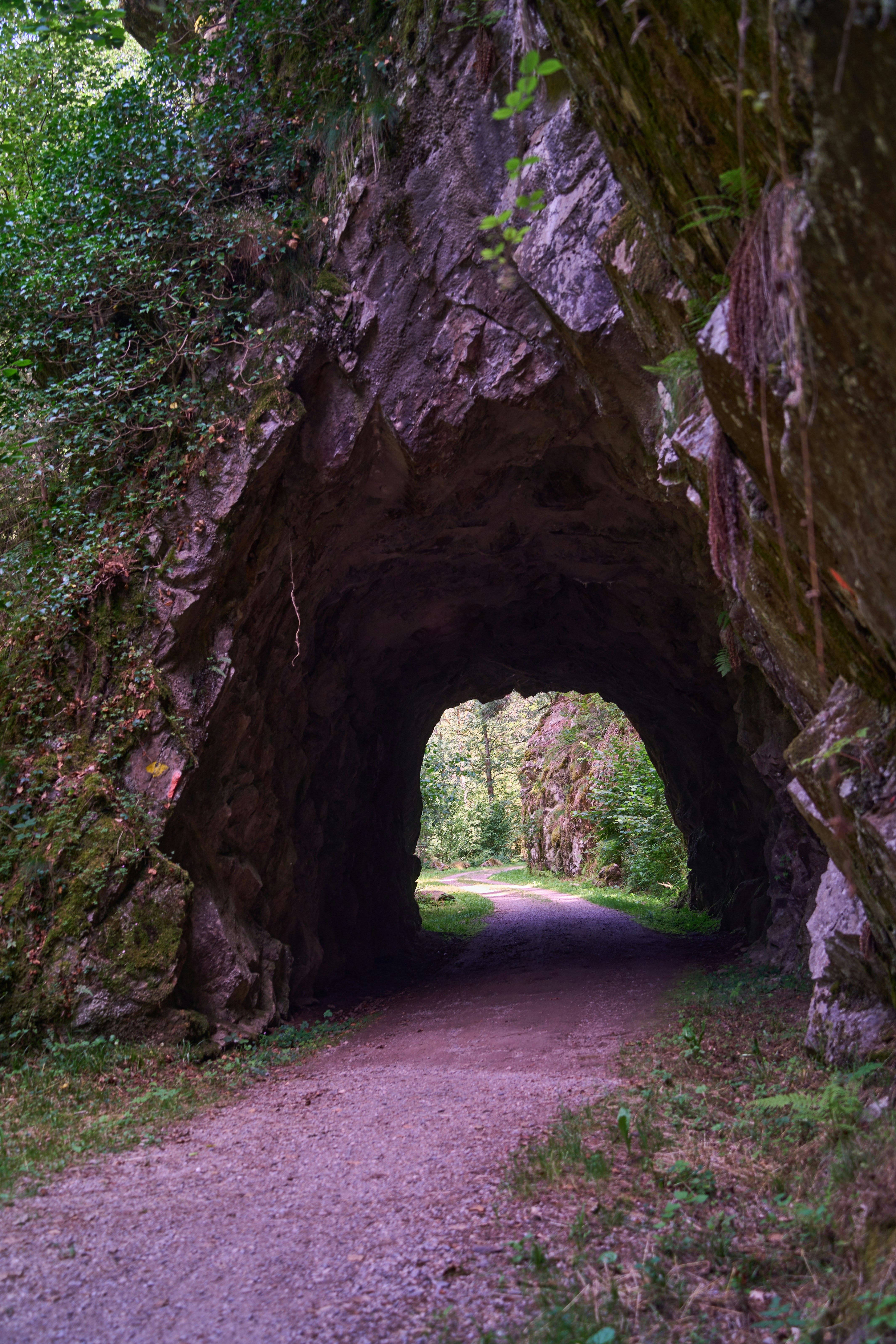 Photo by wolfgang_hasselmann