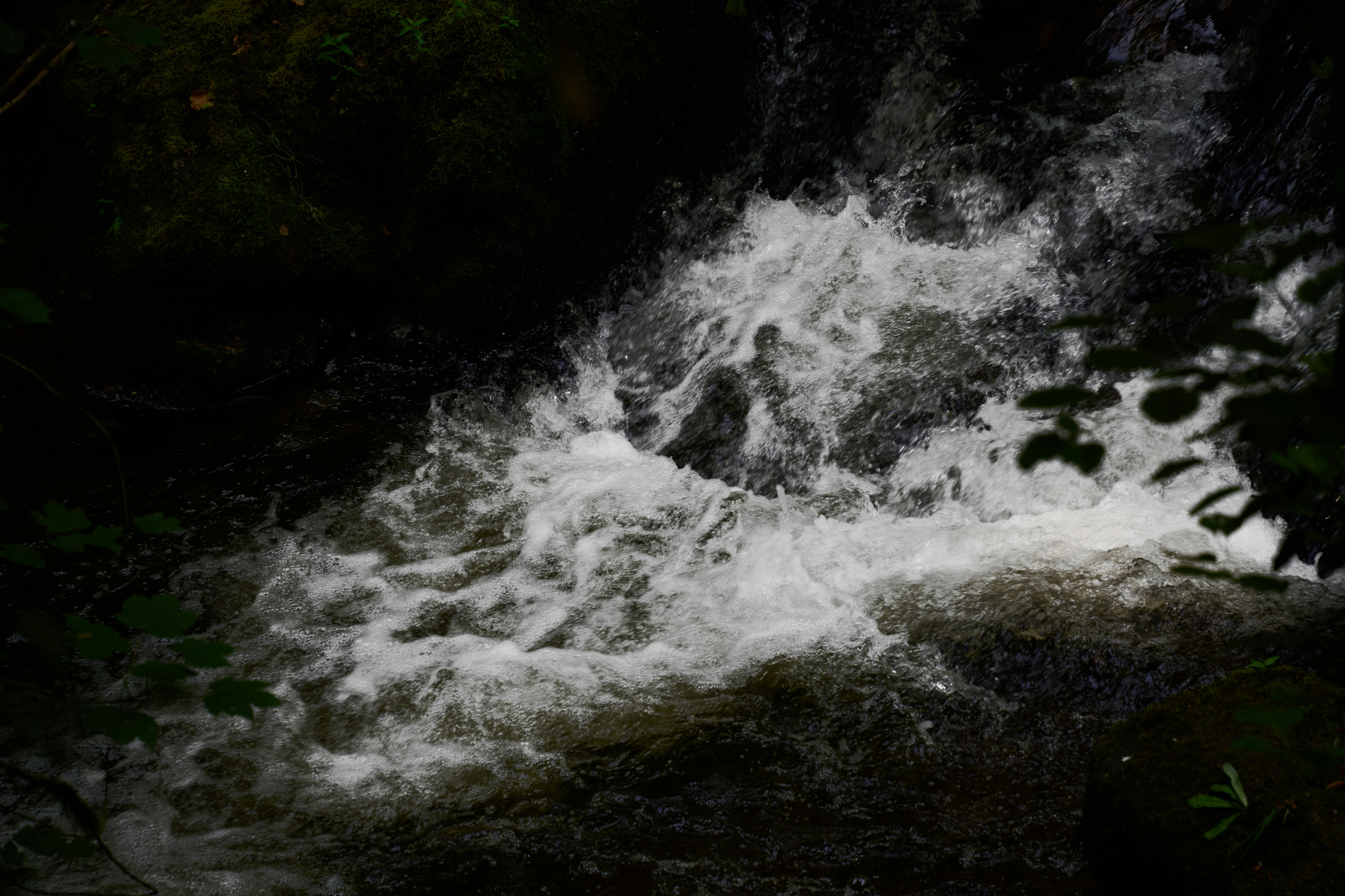 Photo by wolfgang_hasselmann