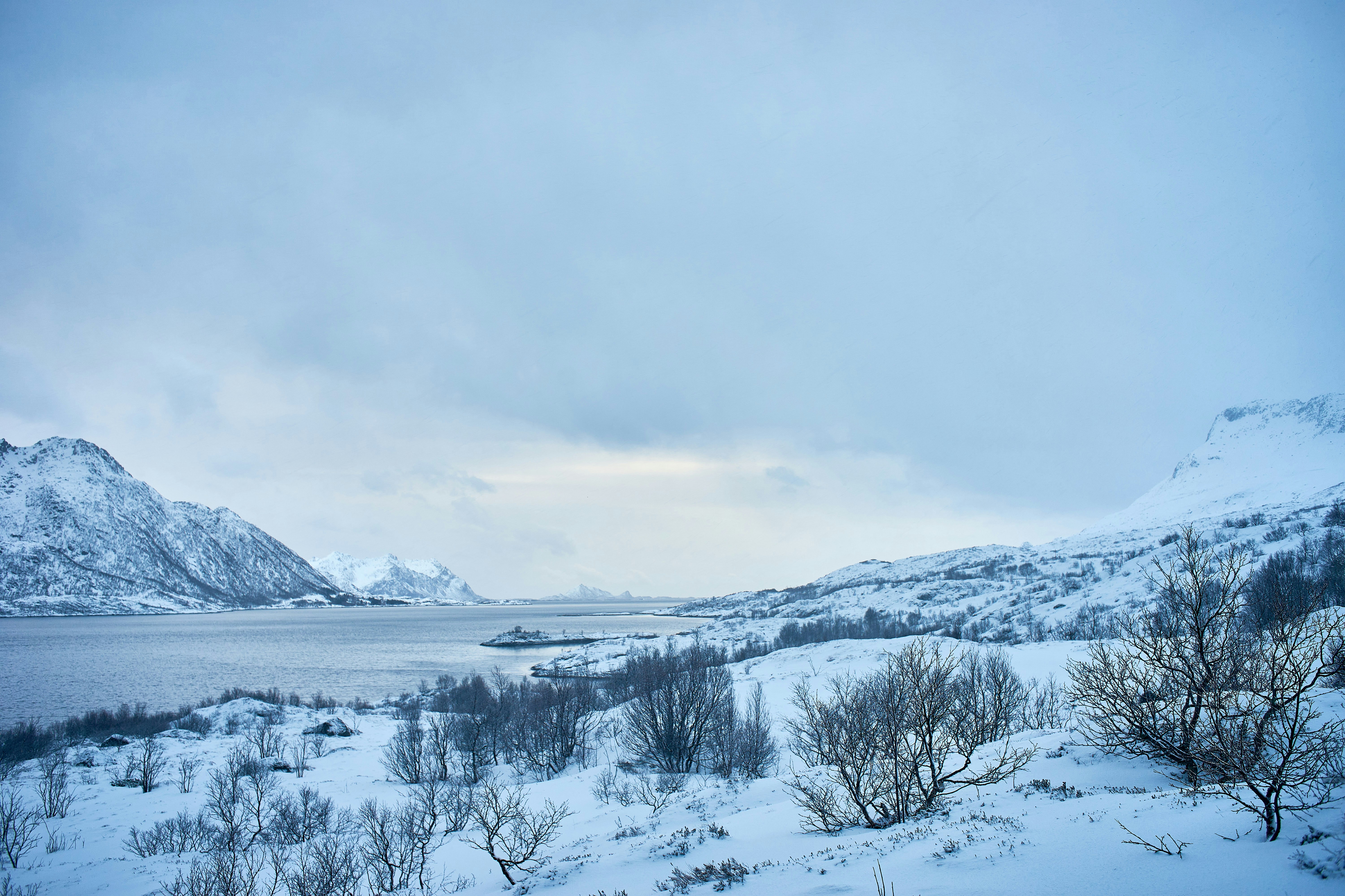 Photo by wolfgang_hasselmann