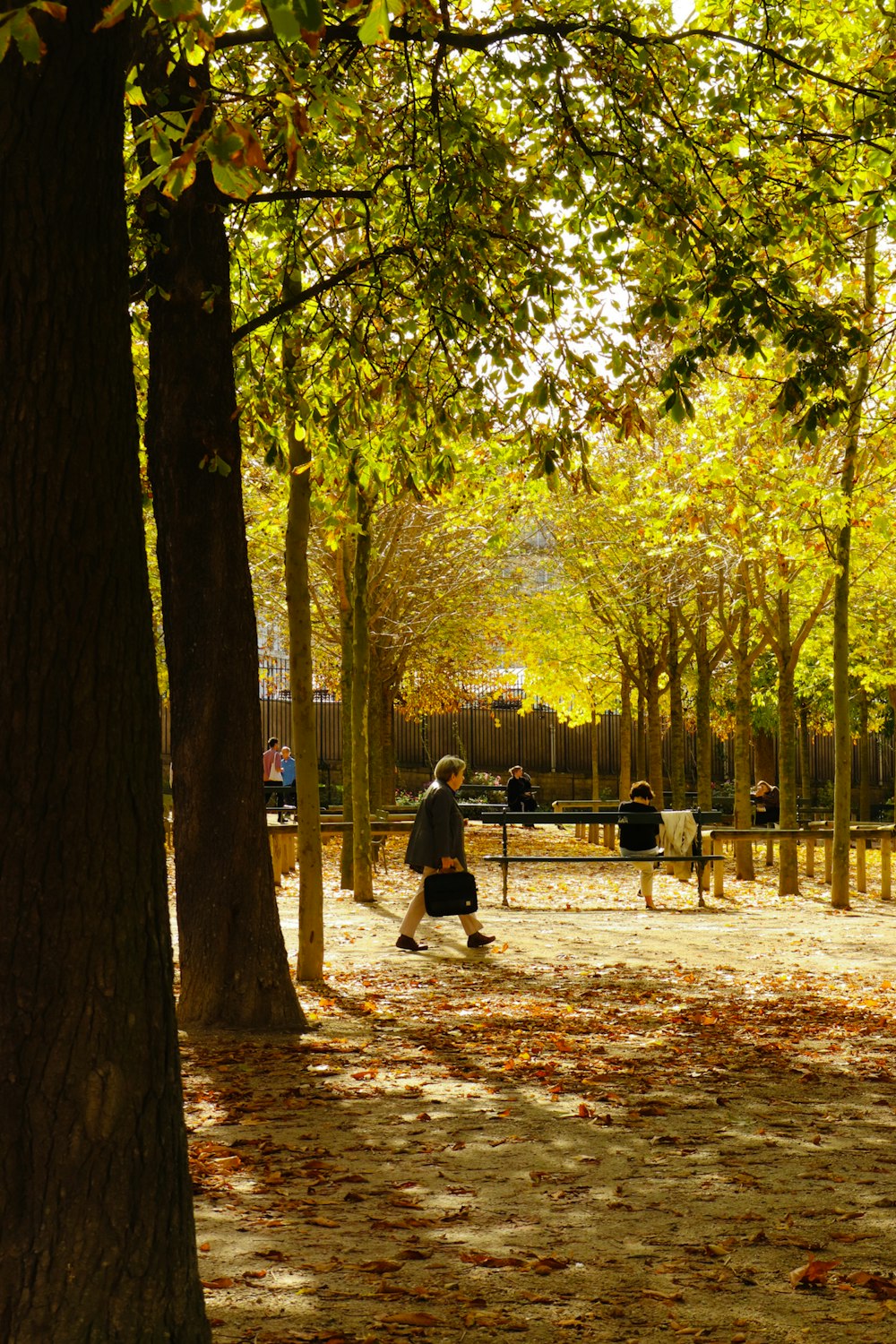 a person sitting on a bench in a park