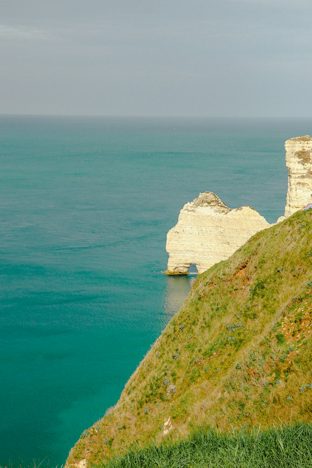 Una pecora in piedi su una collina erbosa accanto a uno specchio d'acqua