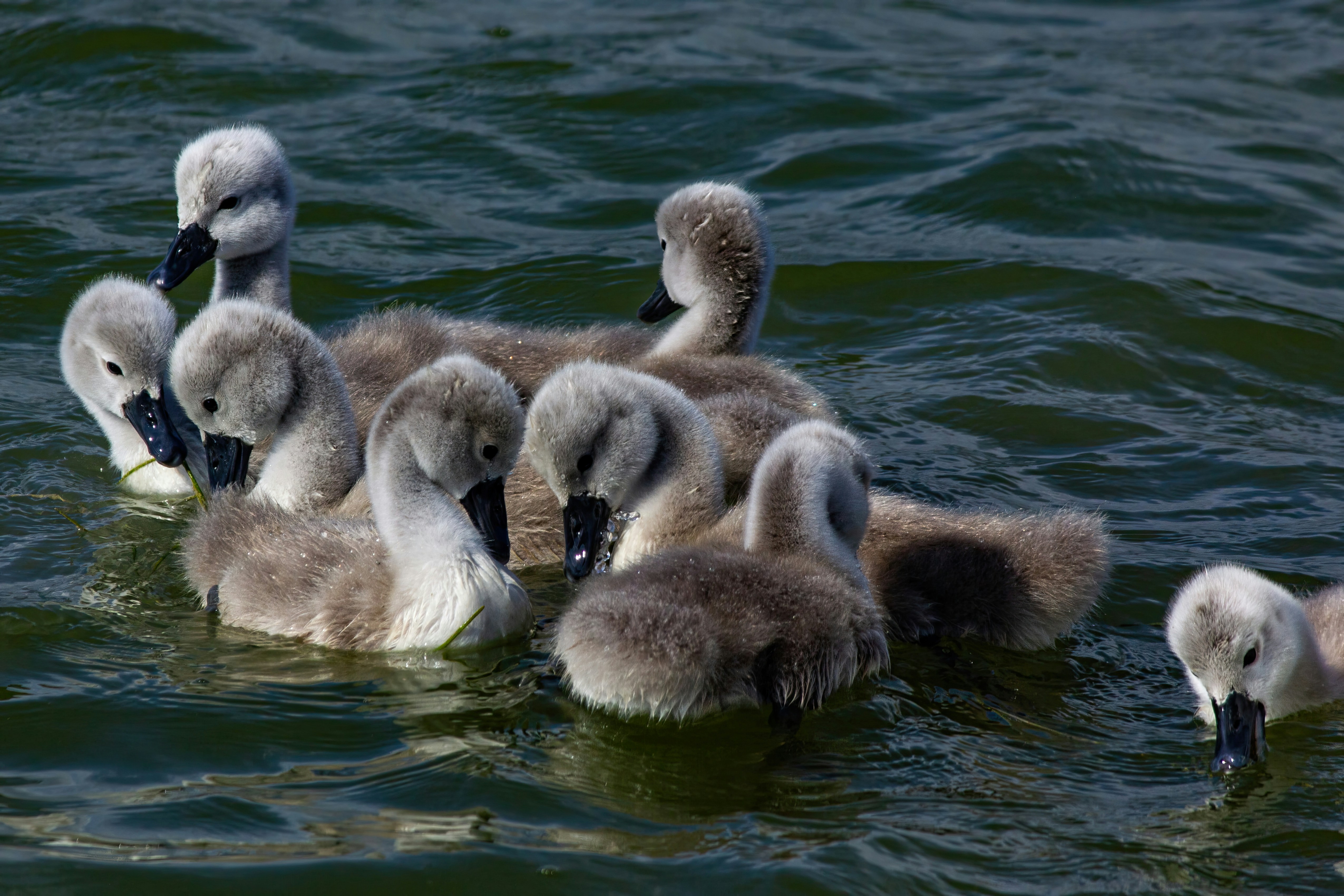 Photo by stepan_konev