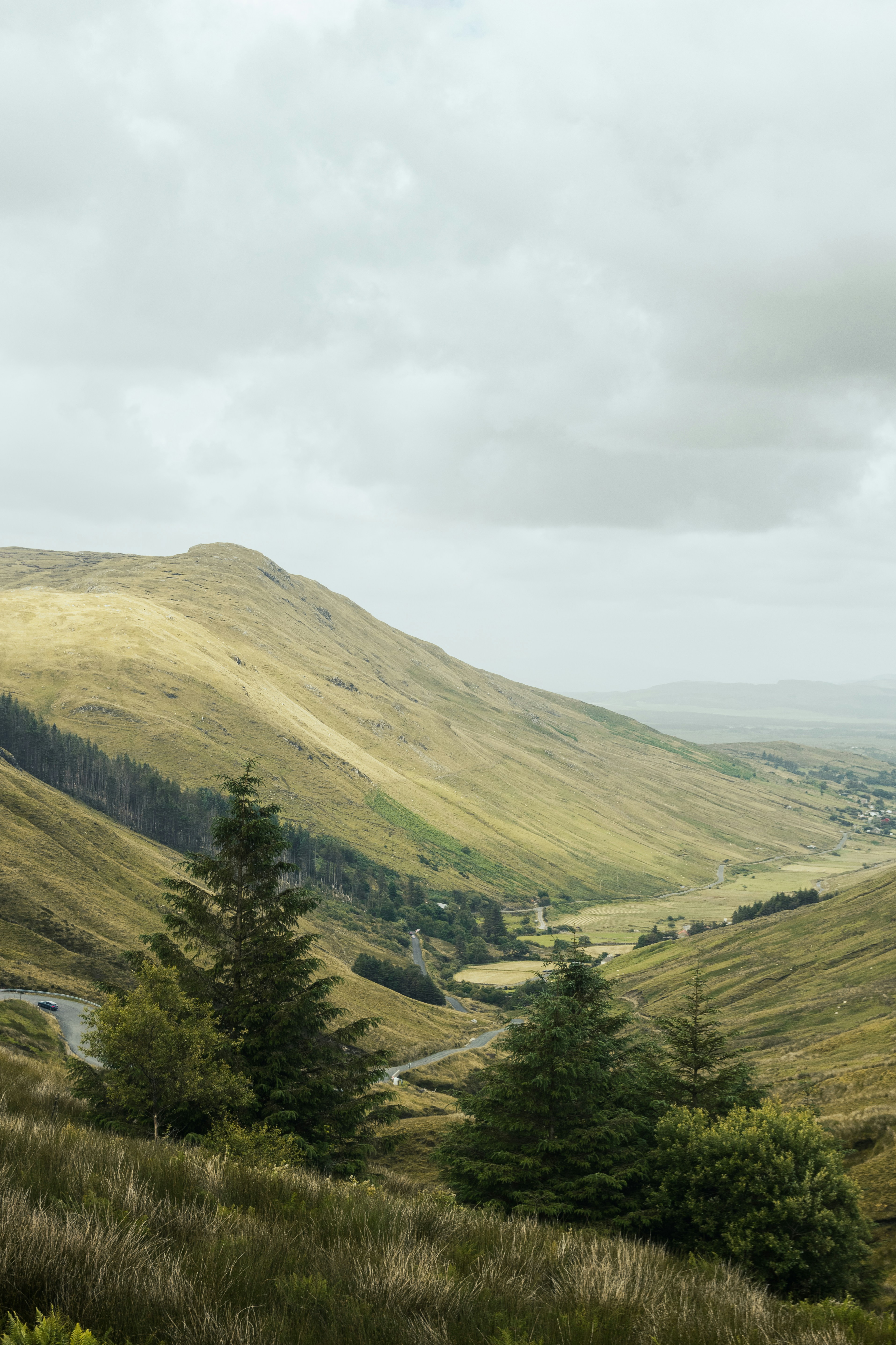 How Infections Might Affect MS and Brain Health