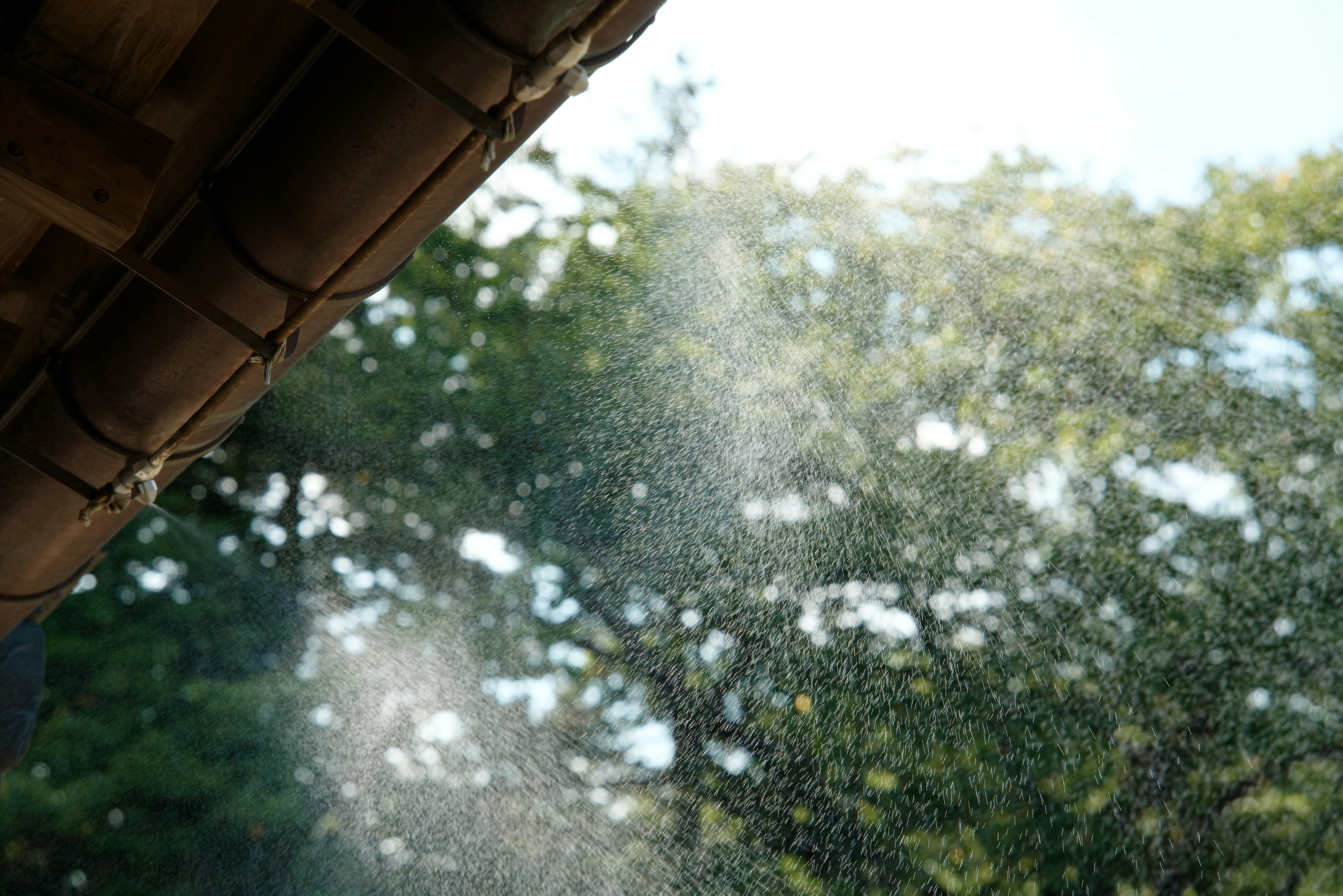 スプリンクラーが木に水を噴霧している