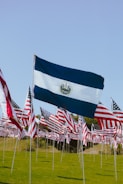 Multiple flags are displayed in an open field under a clear blue sky. The prominent flag in the foreground is of El Salvador, while numerous American flags are visible behind it.