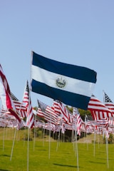 Multiple flags are displayed in an open field under a clear blue sky. The prominent flag in the foreground is of El Salvador, while numerous American flags are visible behind it.