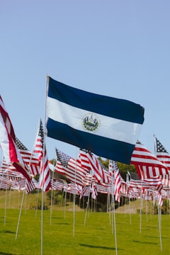 Multiple flags are displayed in an open field under a clear blue sky. The prominent flag in the foreground is of El Salvador, while numerous American flags are visible behind it.