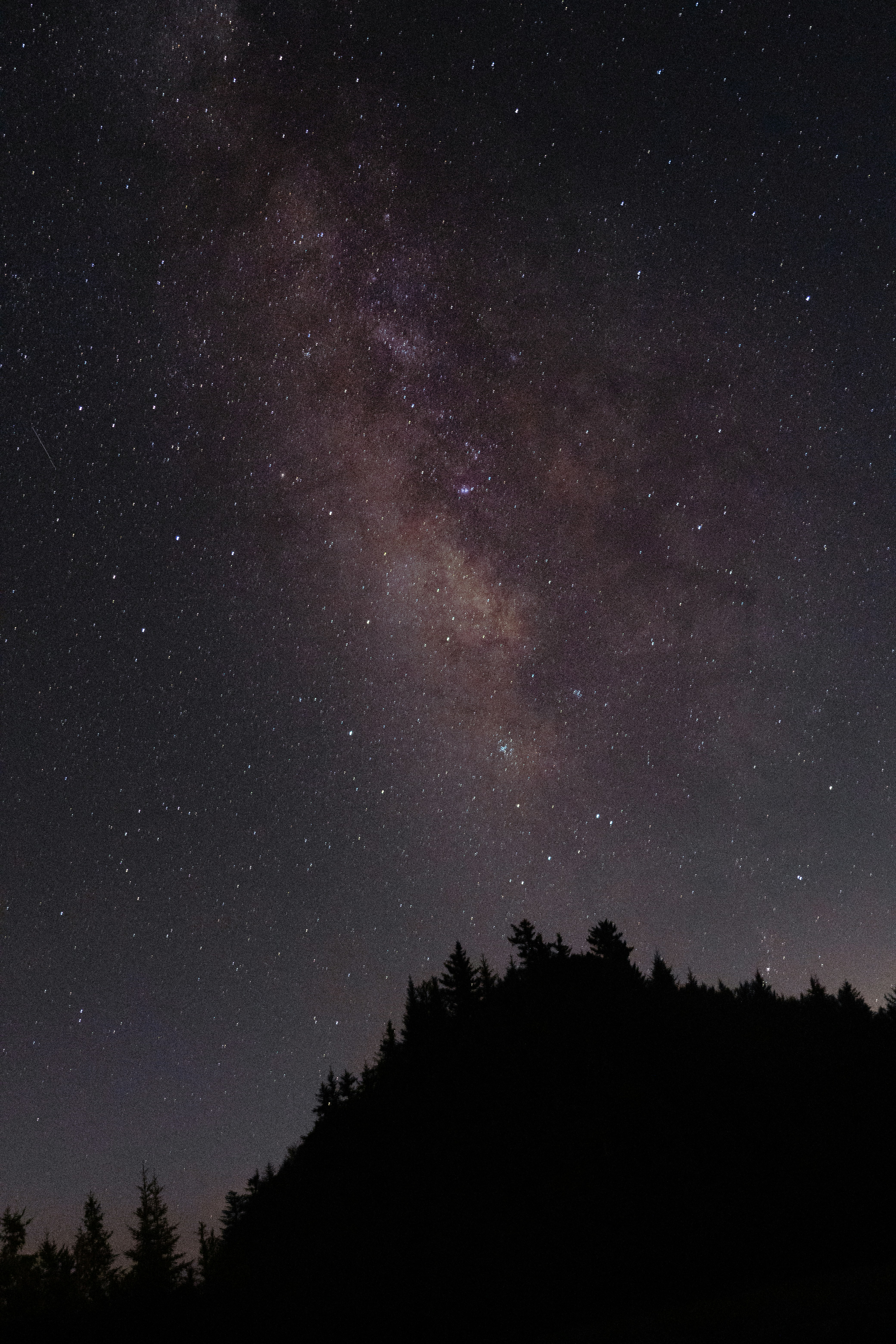 Photo by hiitakephotos