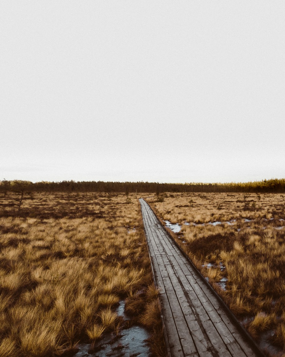 a train track running through a dry grass field