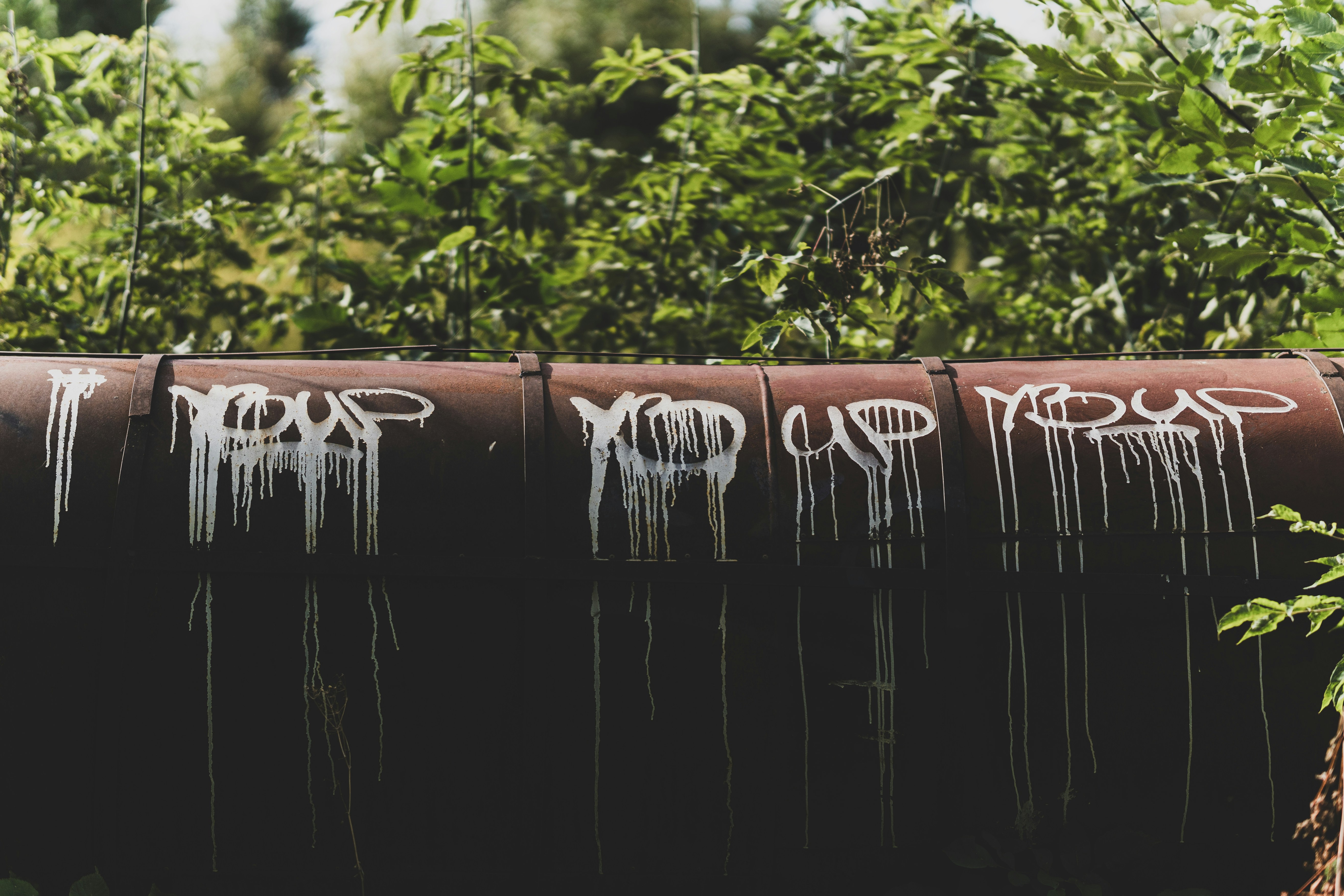 a pipe that has some graffiti on it