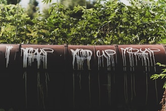 A rusted cylindrical pipe is covered in white graffiti with stylized text. The background is filled with lush green foliage, suggesting an overgrown or abandoned setting.