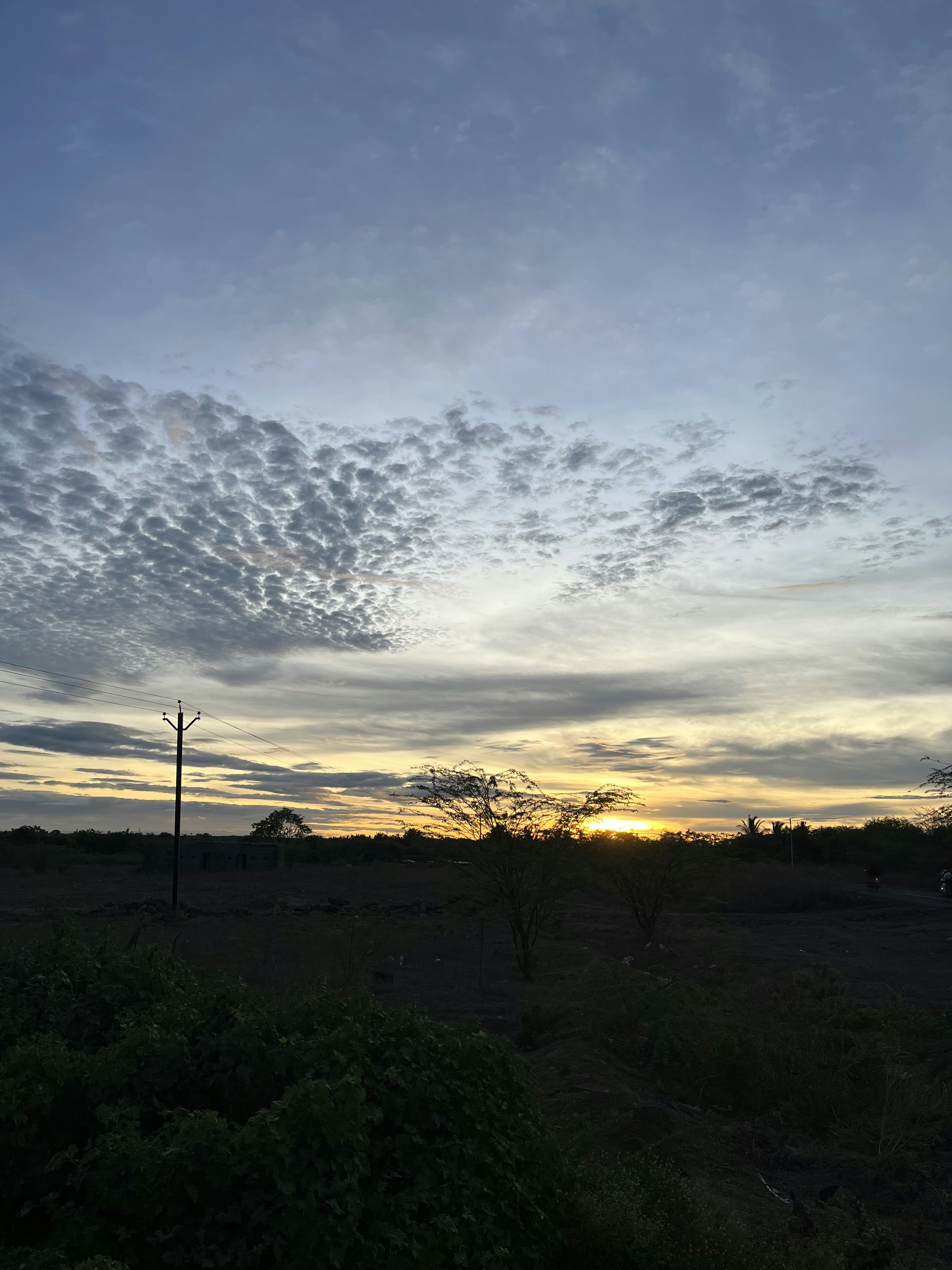 Photo by harsh31