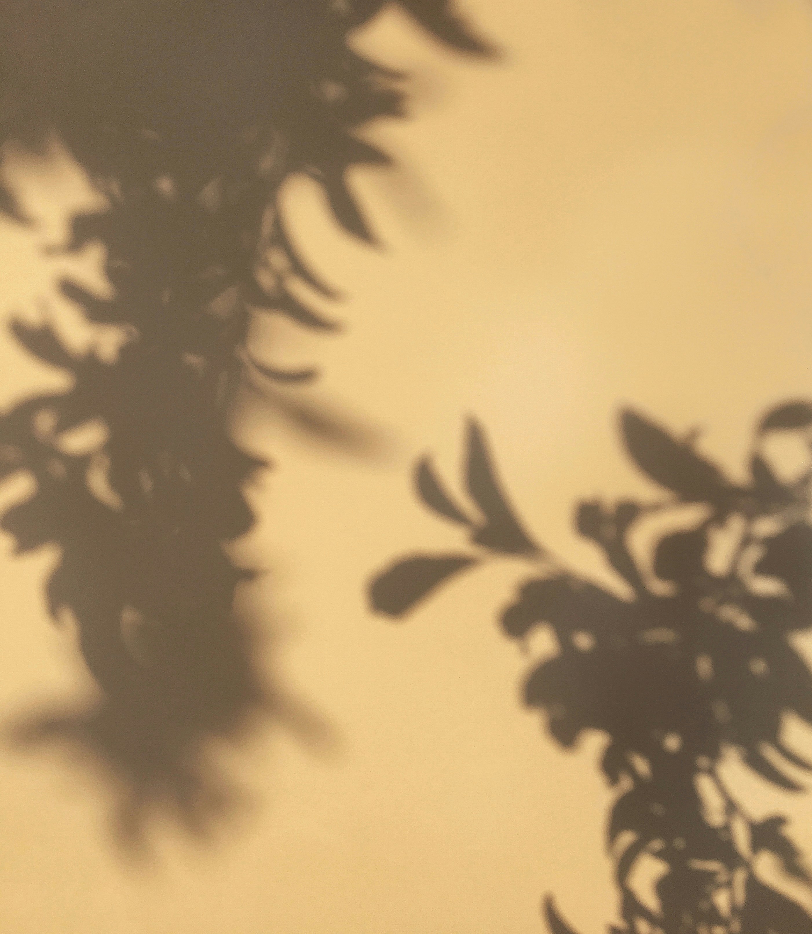 Photo by benjamindem