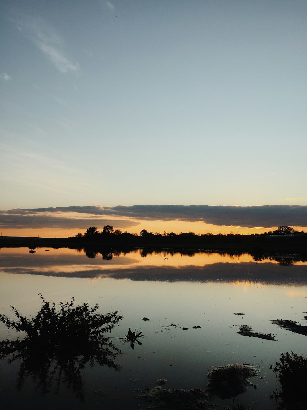 a body of water with trees in the background