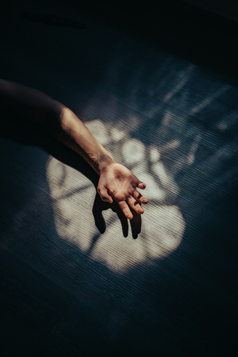 a person's hand reaching for something on the ground