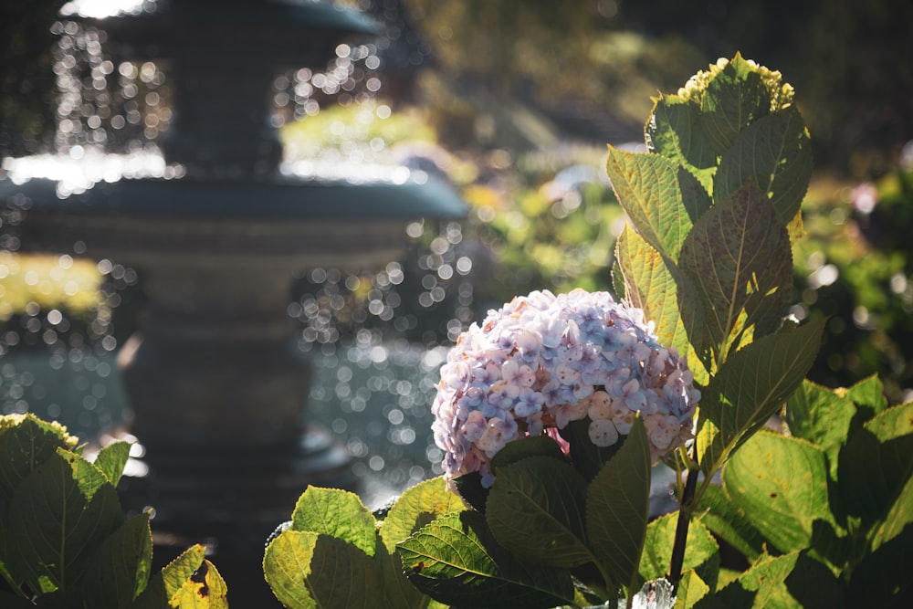 a water fountain in the background with a hydrant in the foreground