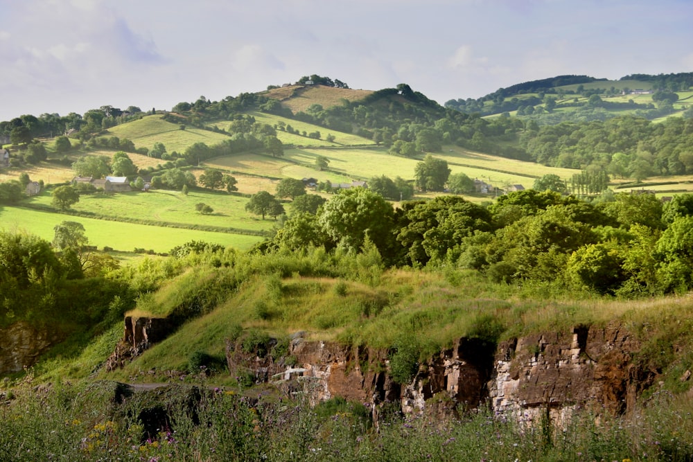 a lush green hillside covered in lots of trees