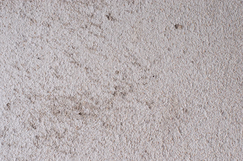Close-up of carpet showing light wear and staining near a closet, no people