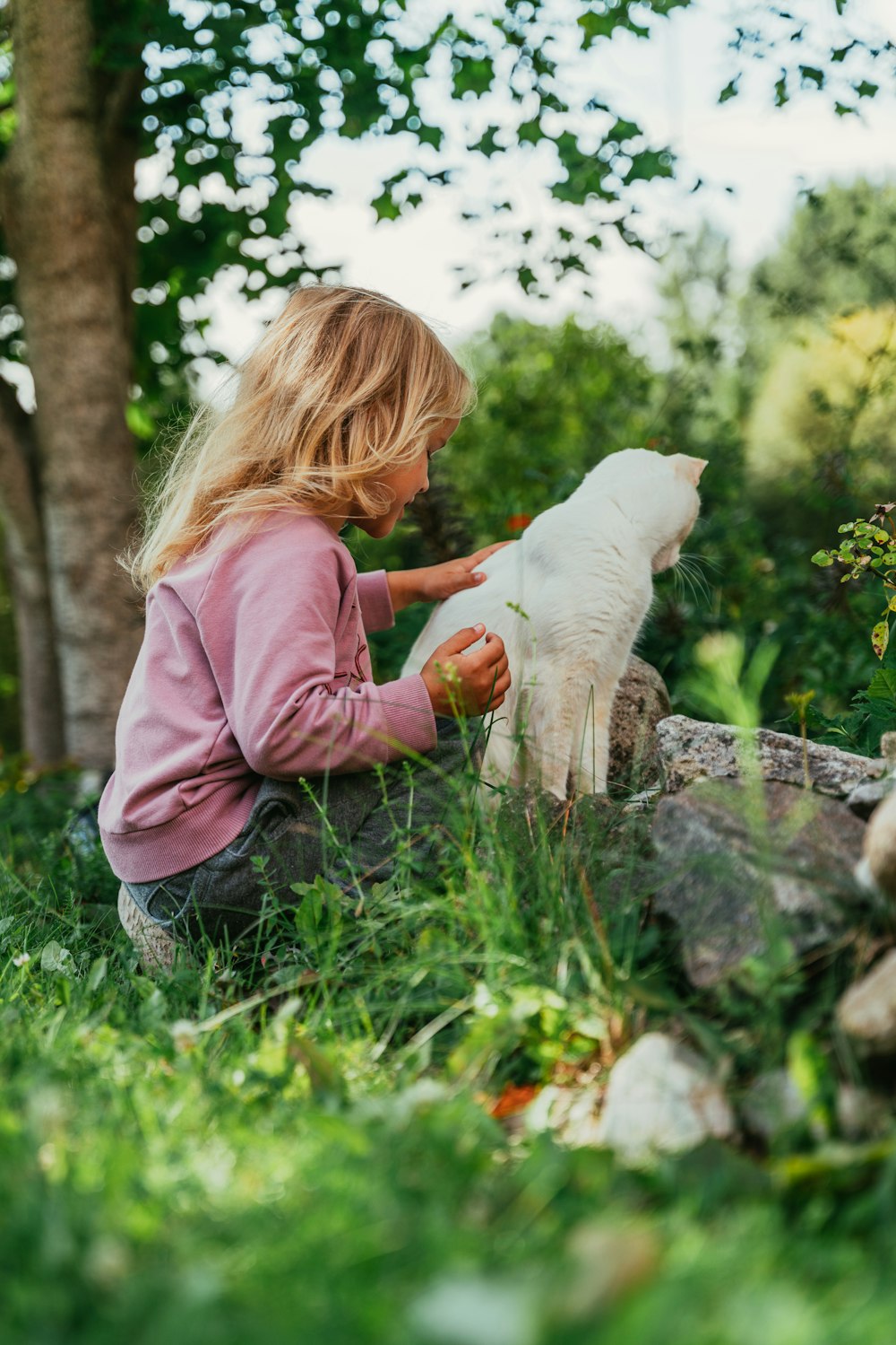 a little girl petting a white cat in the grass