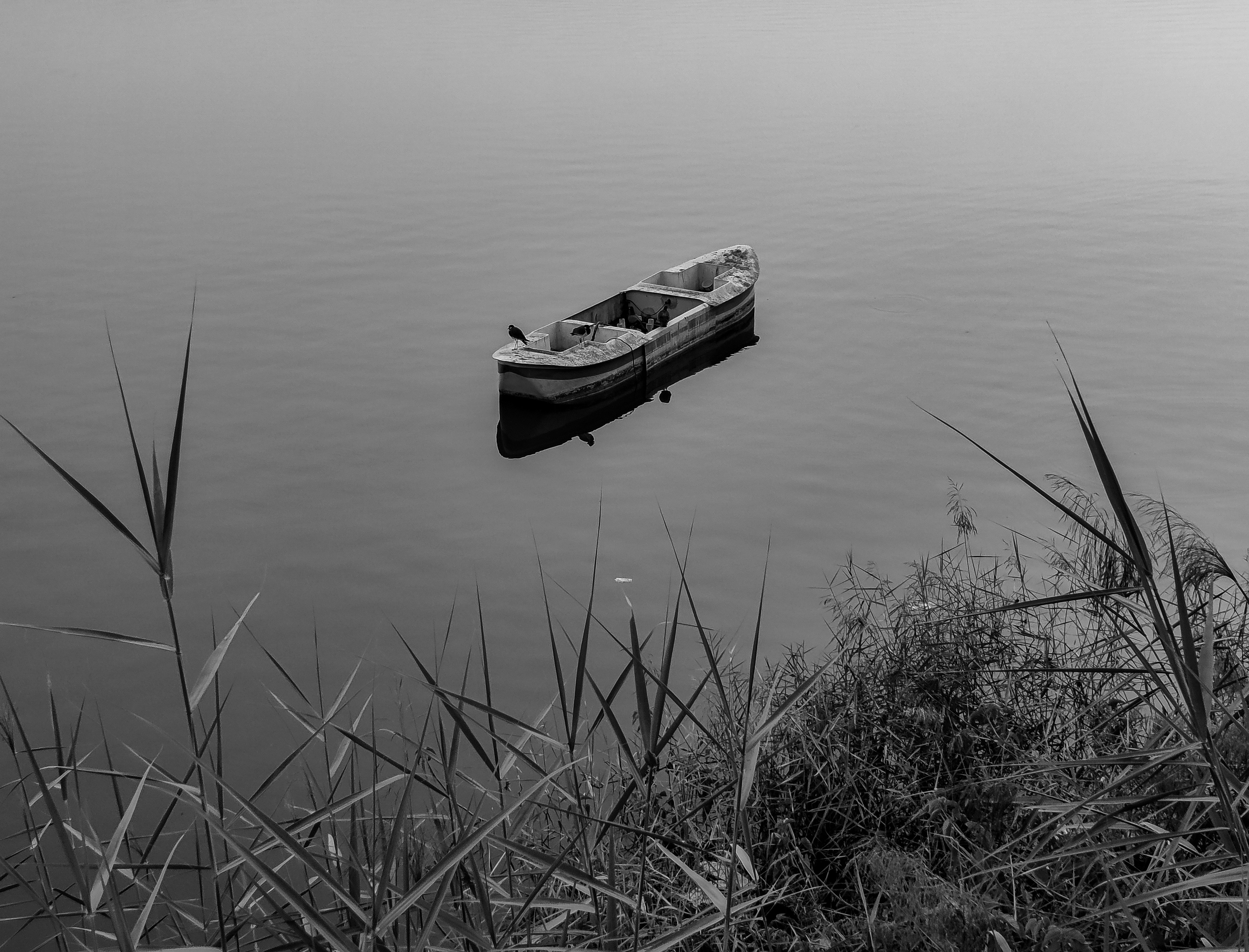 Photo by justaclick_24