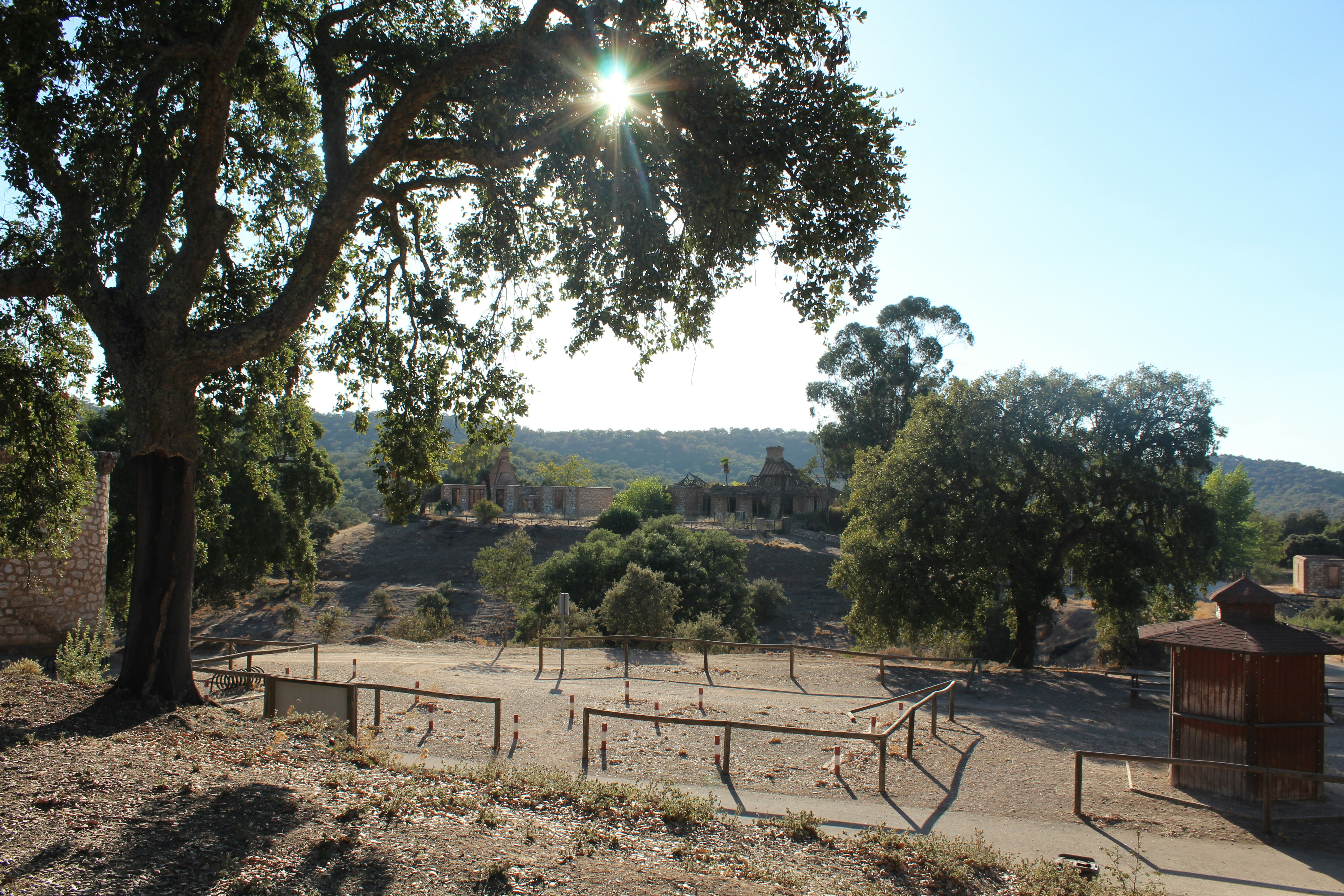 Dirt bike track among trees on a sunny day