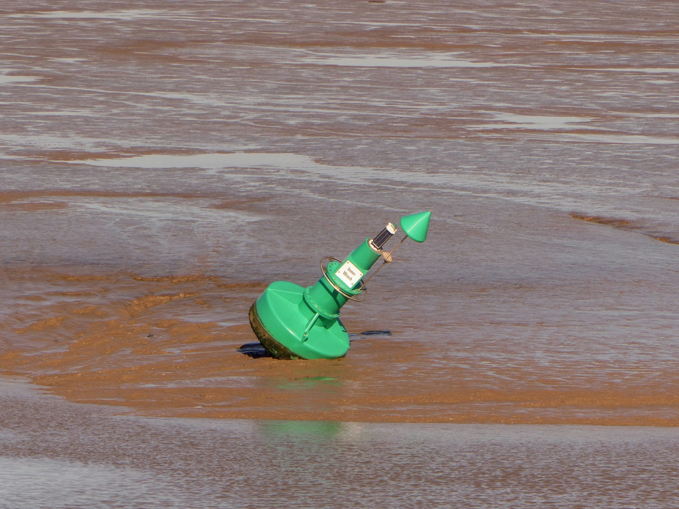 a green traffic light sitting on top of a wet beach