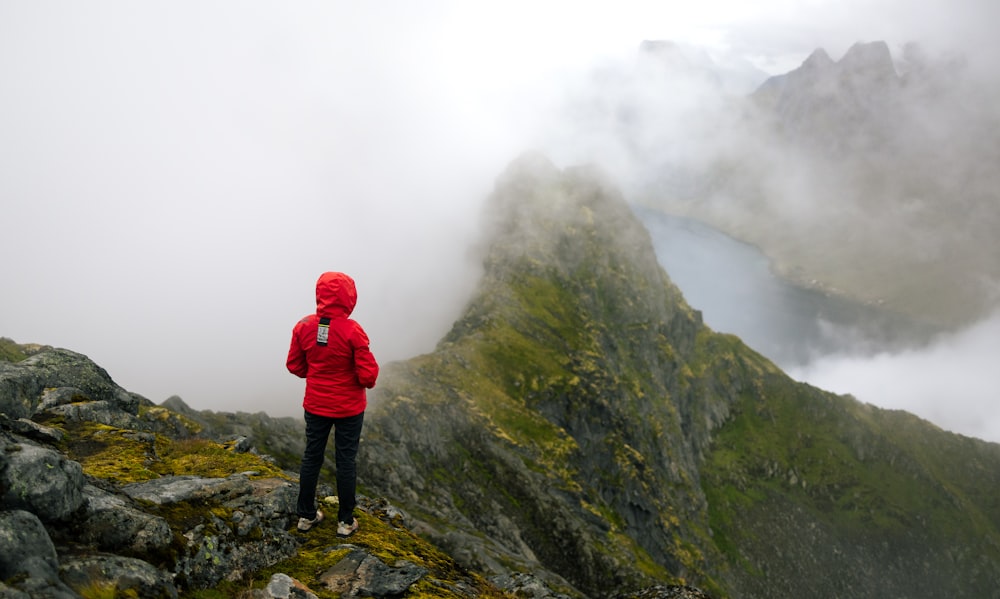 a person in a red jacket standing on a mountain