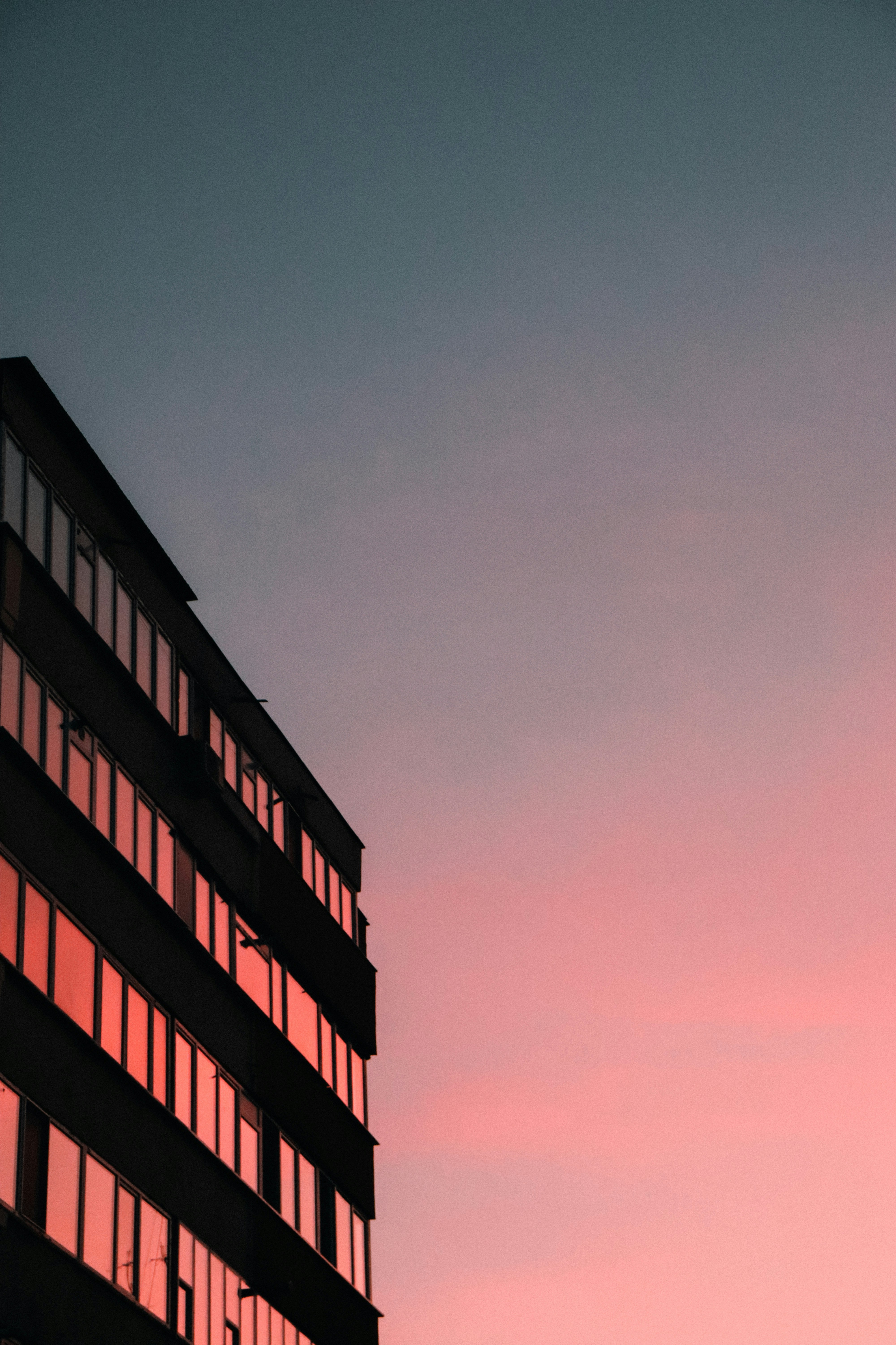 Photo by crinaparasca