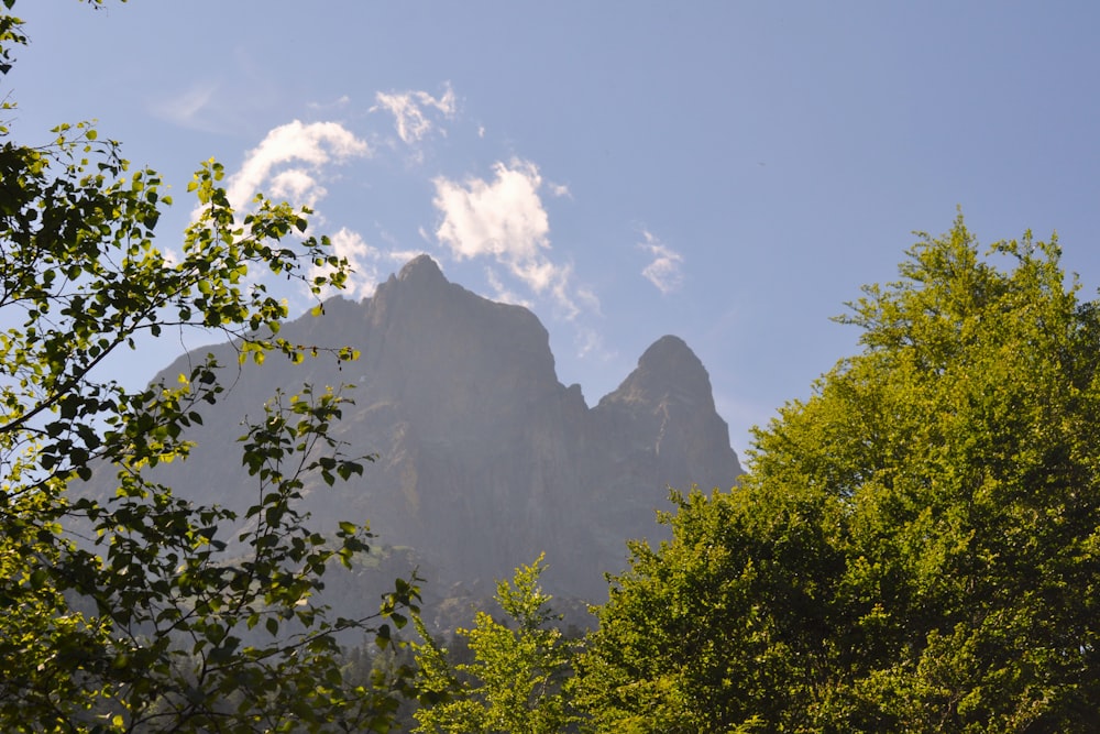 a view of a mountain through the trees