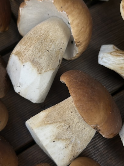 Several freshly picked mushrooms are laid out on a dark wooden surface. The mushrooms have thick, white stems and round brown caps with a smooth texture.