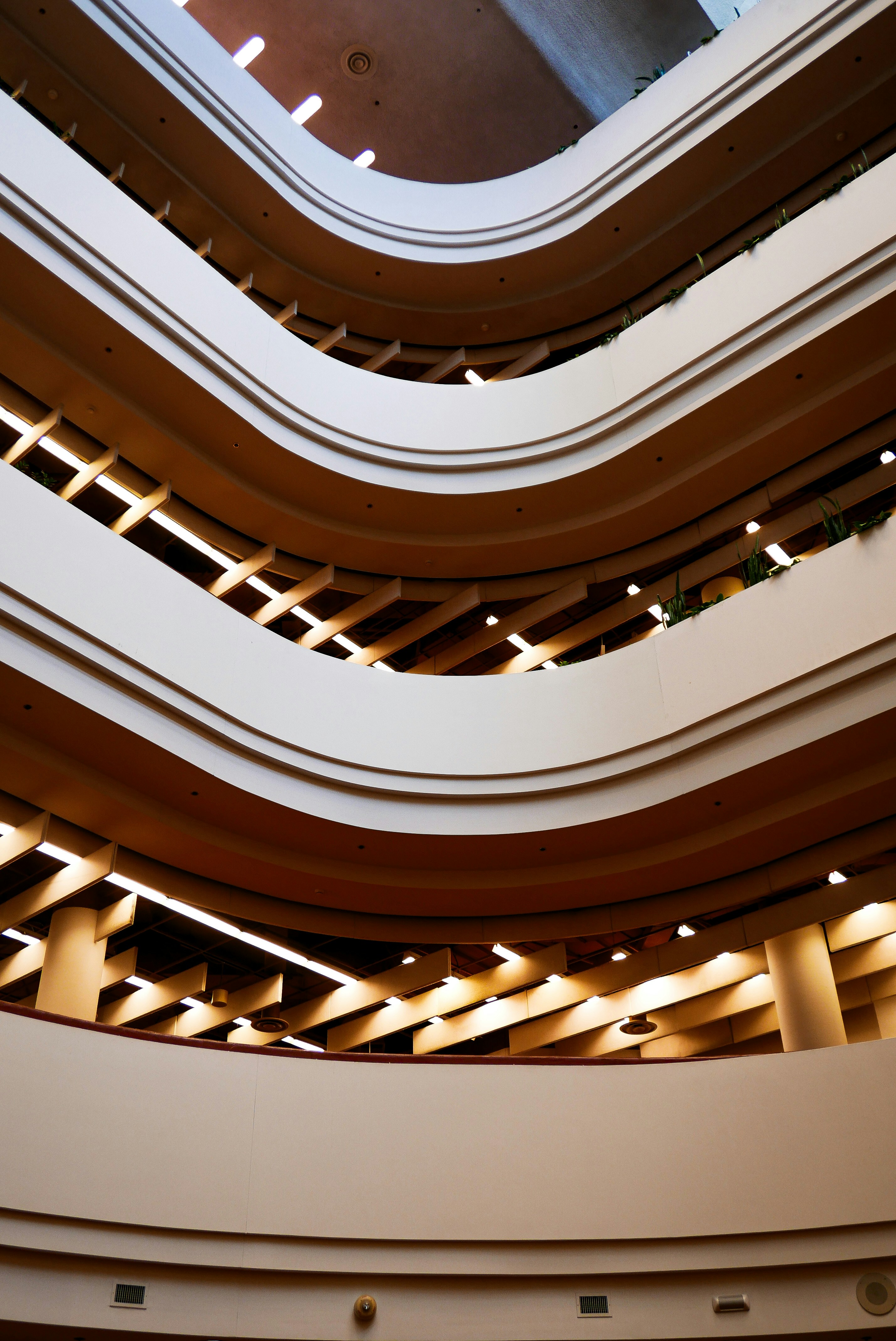 Photo by vitalymazur