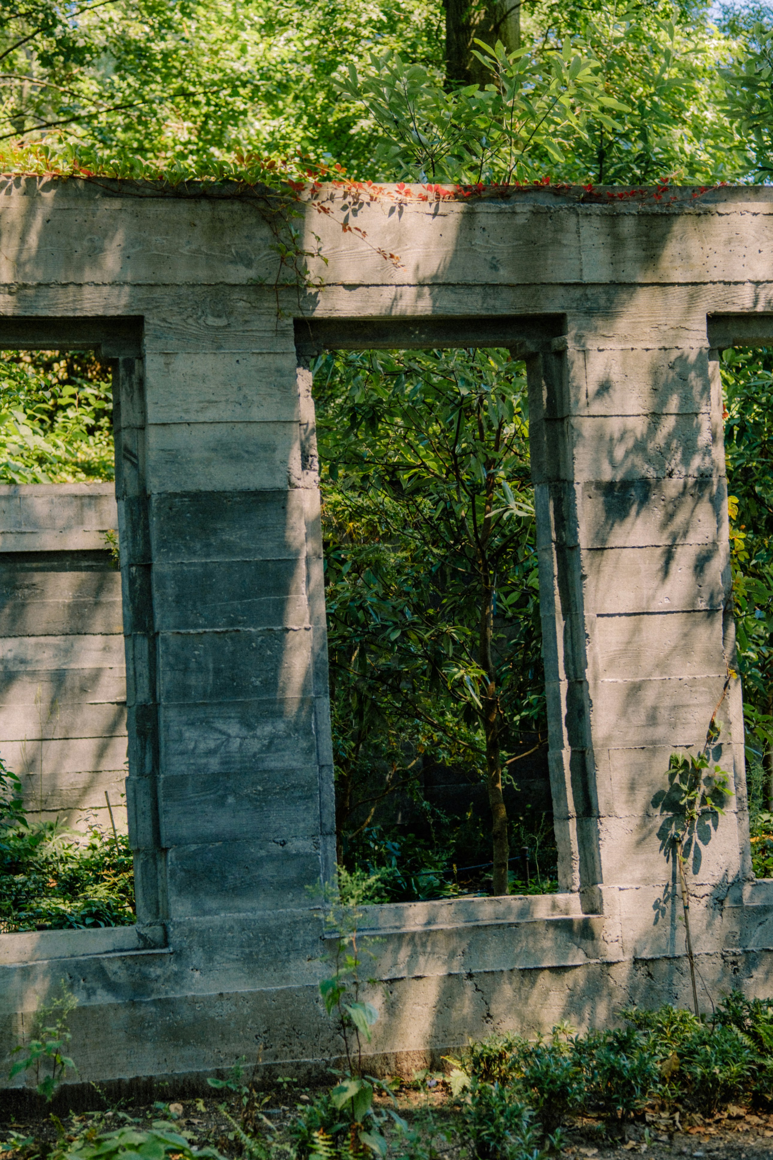 Photo by marsupialpudding