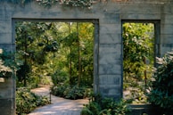 Exterior garden space with overgrown plants and untidy pathways before cleanup.