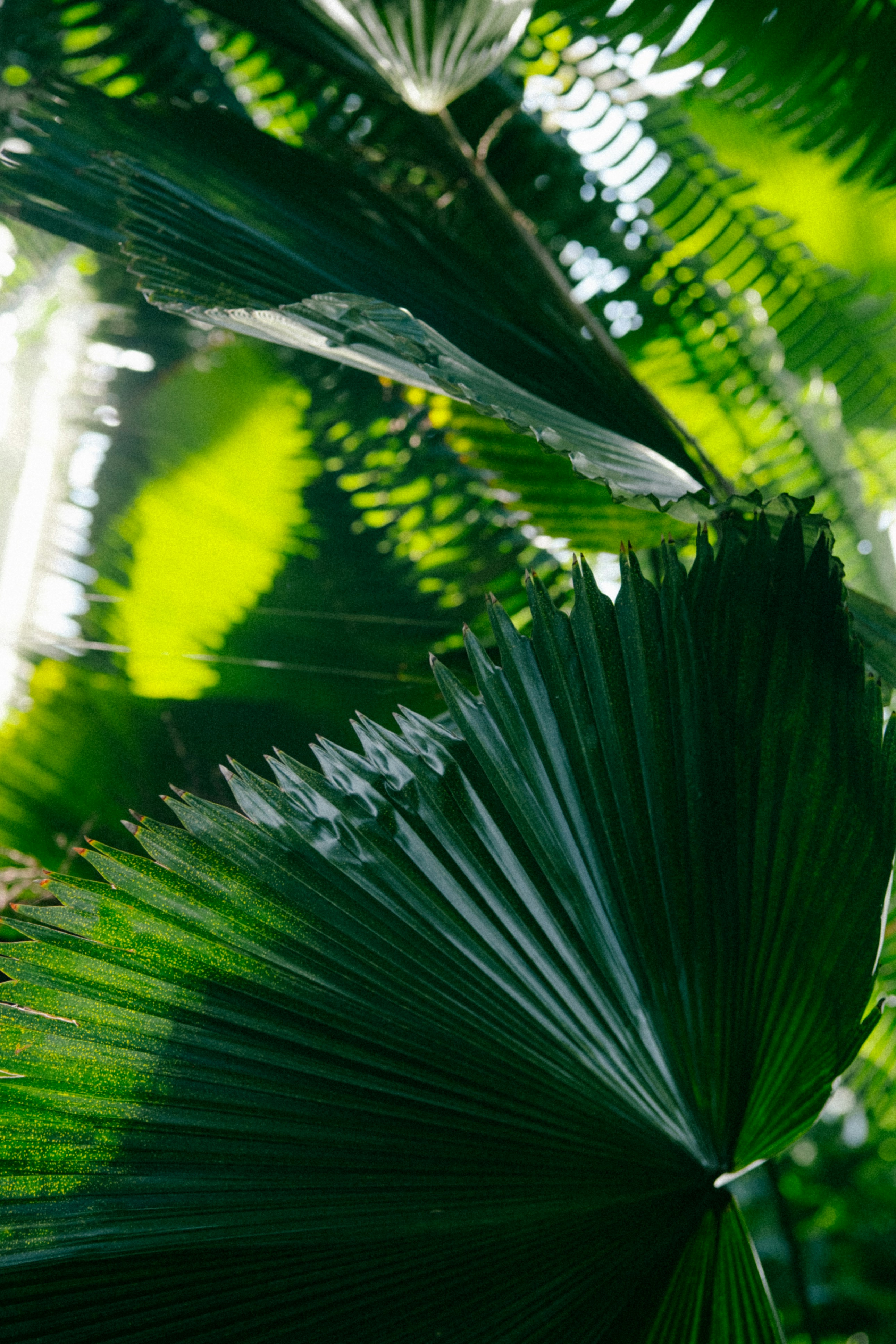 Photo by marsupialpudding