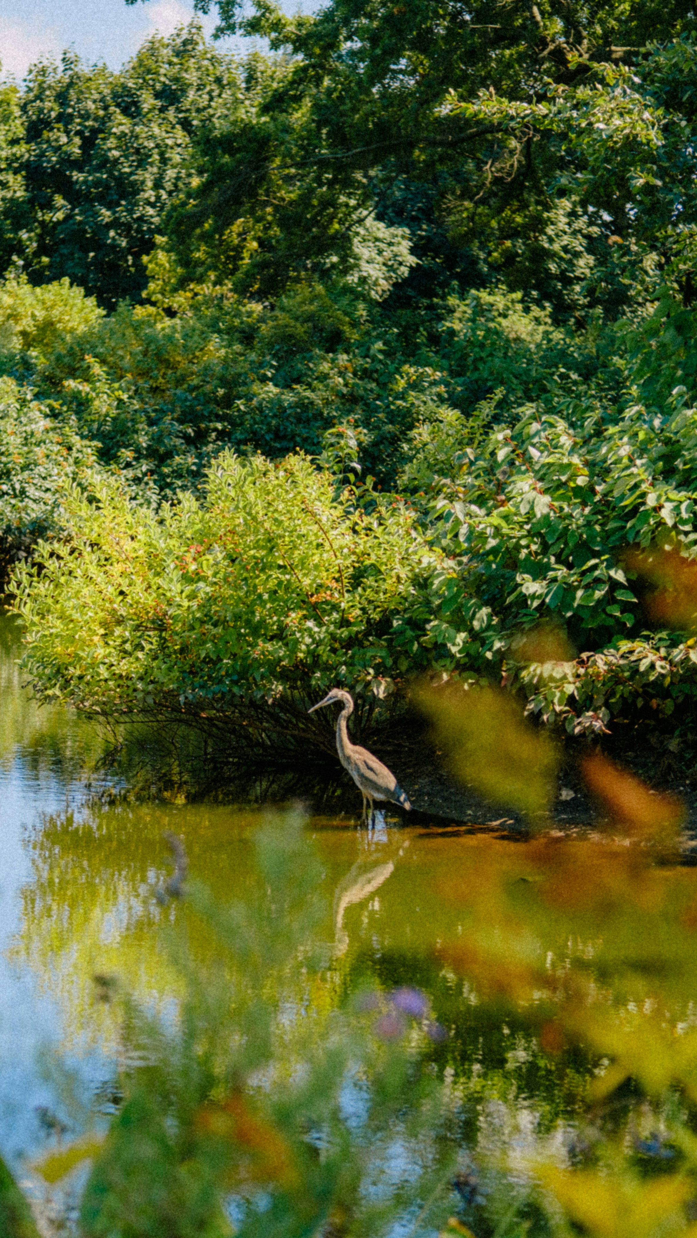 Photo by marsupialpudding