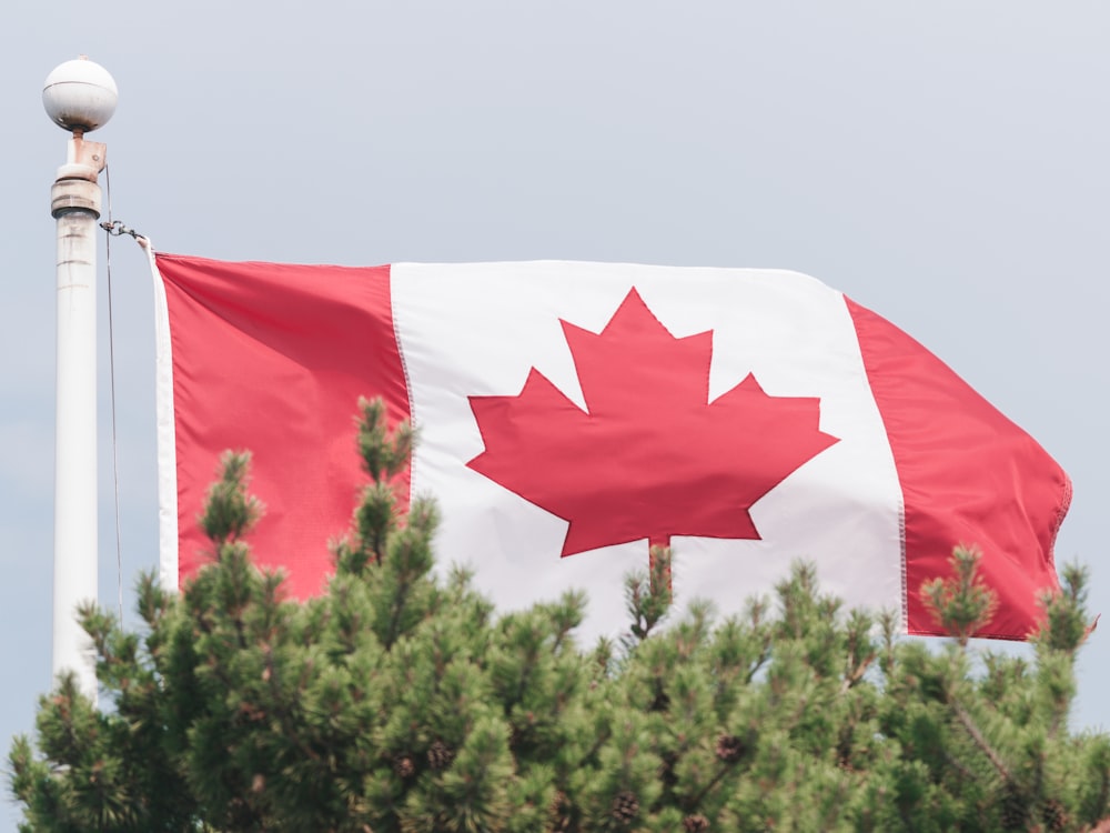 a canadian flag is flying in the wind