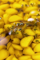 A close-up view of peeled garlic cloves submerged in a yellow liquid, possibly oil, with sprigs of fresh herbs scattered among them. The surface of the liquid reflects the soft lighting, creating a visually rich texture.