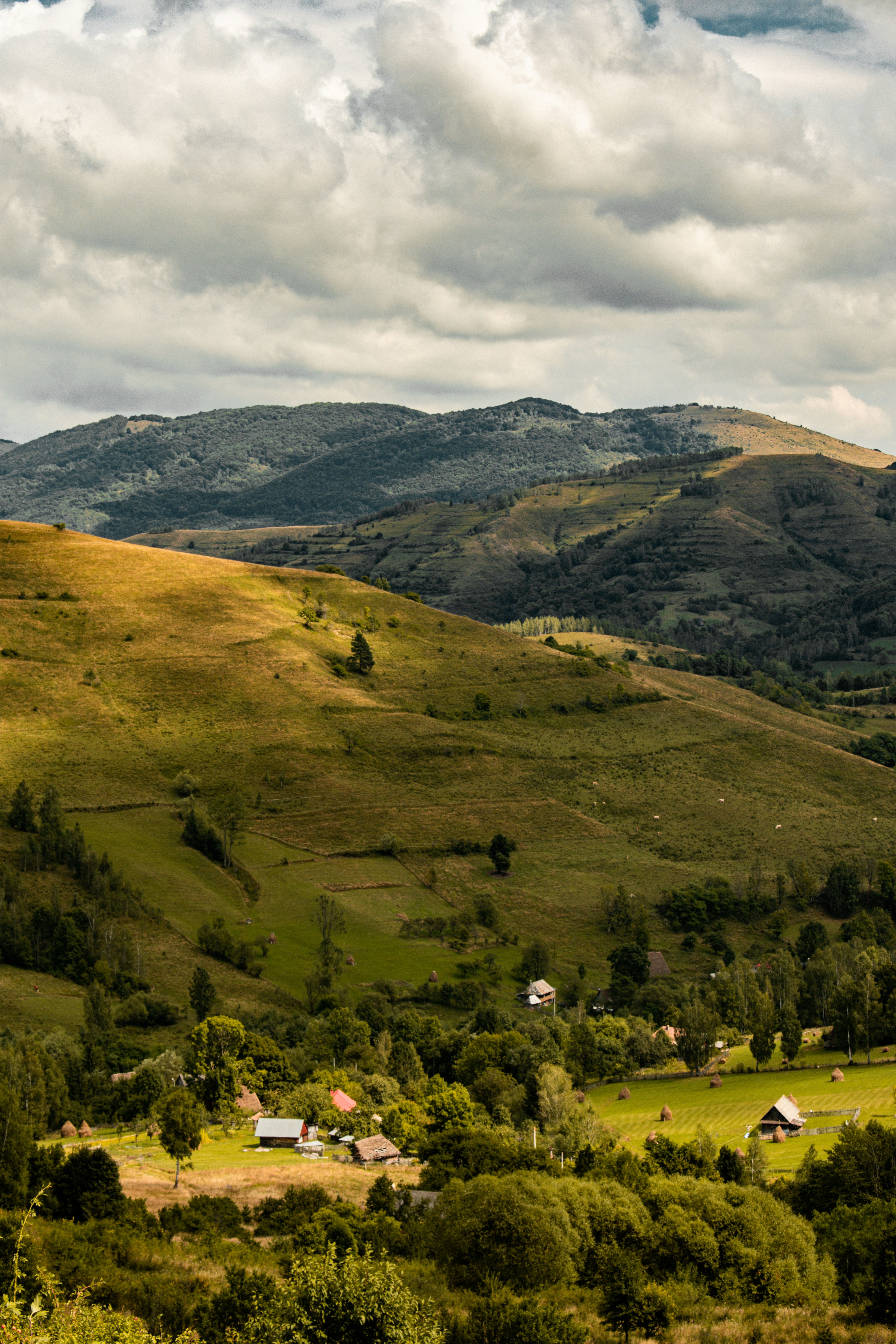 Photo by raluca_cotoara