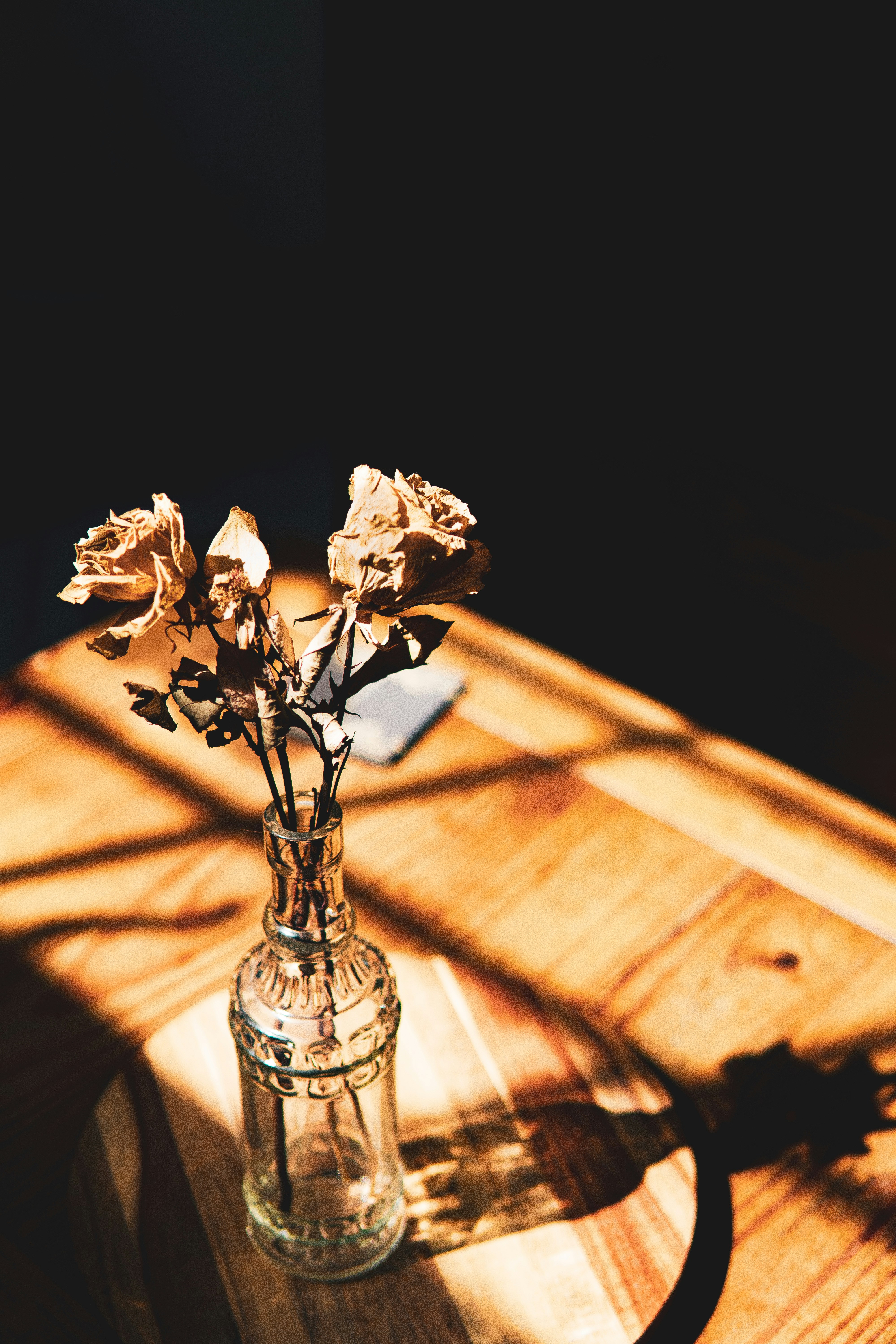 Photo by keepitchassephotography