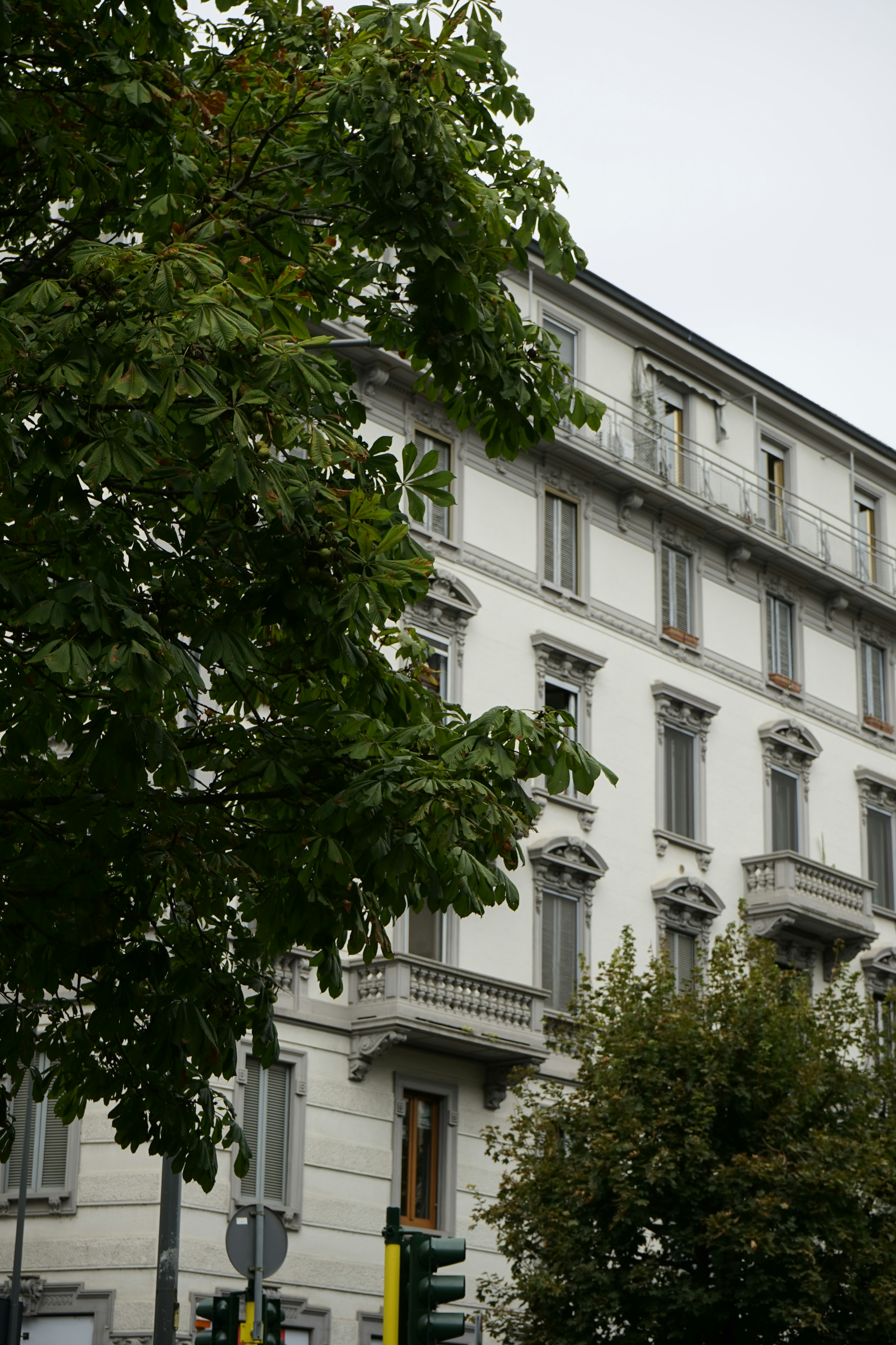 Photo by melanisticfox